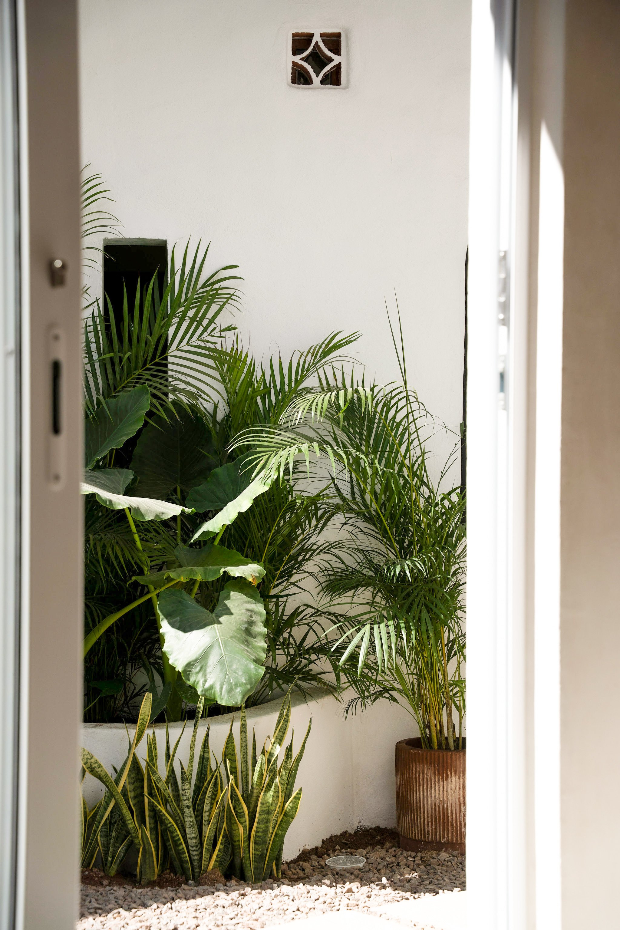 Photo 11-16-25, 11 25 36 AM.jpg