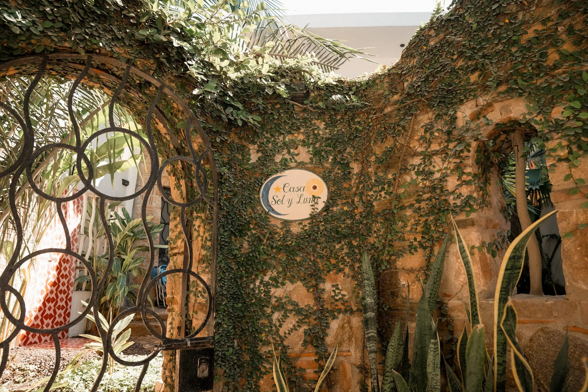 Photo 11-16-25, 12 18 14 PM.jpg