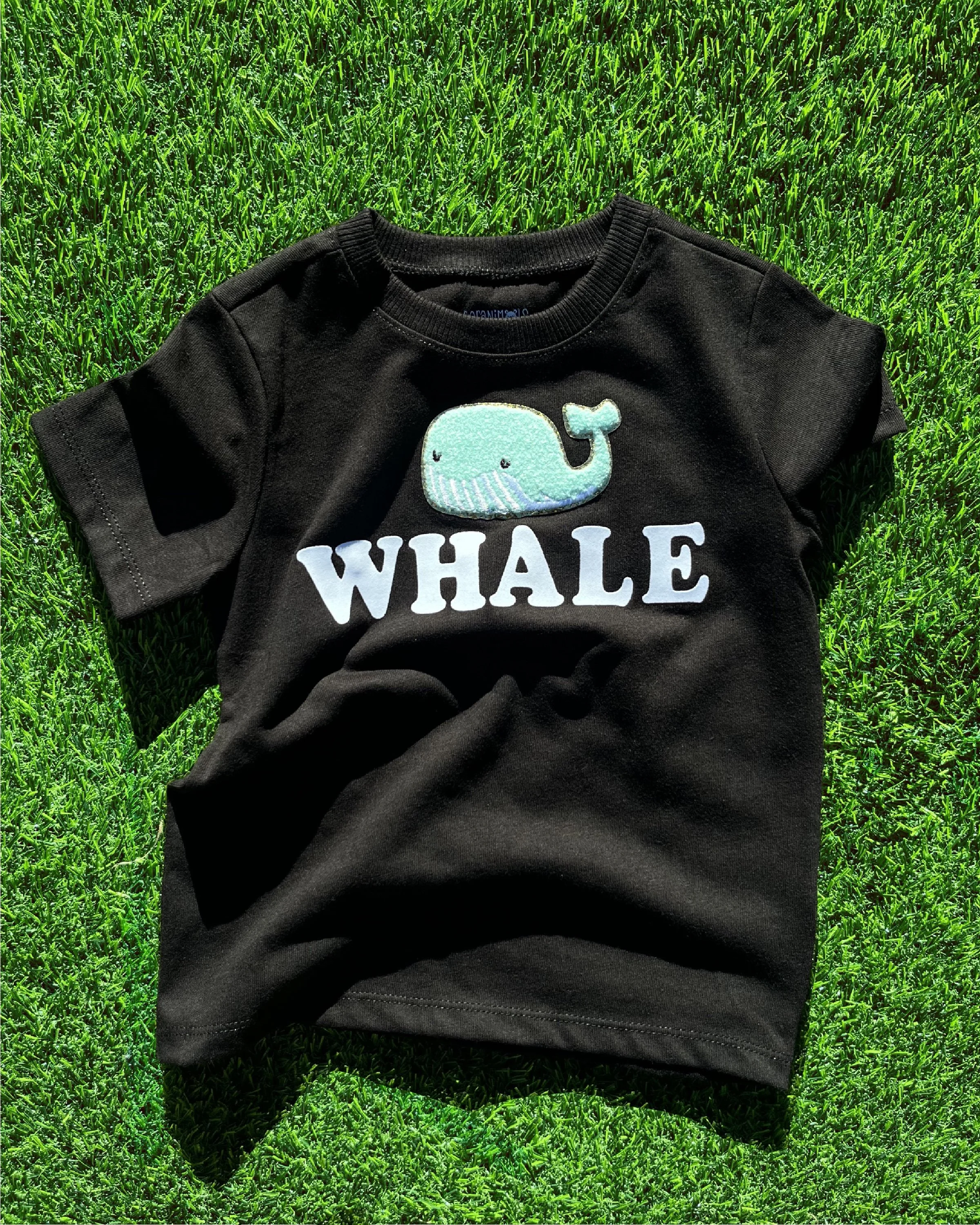 Black whale 3t.jpg