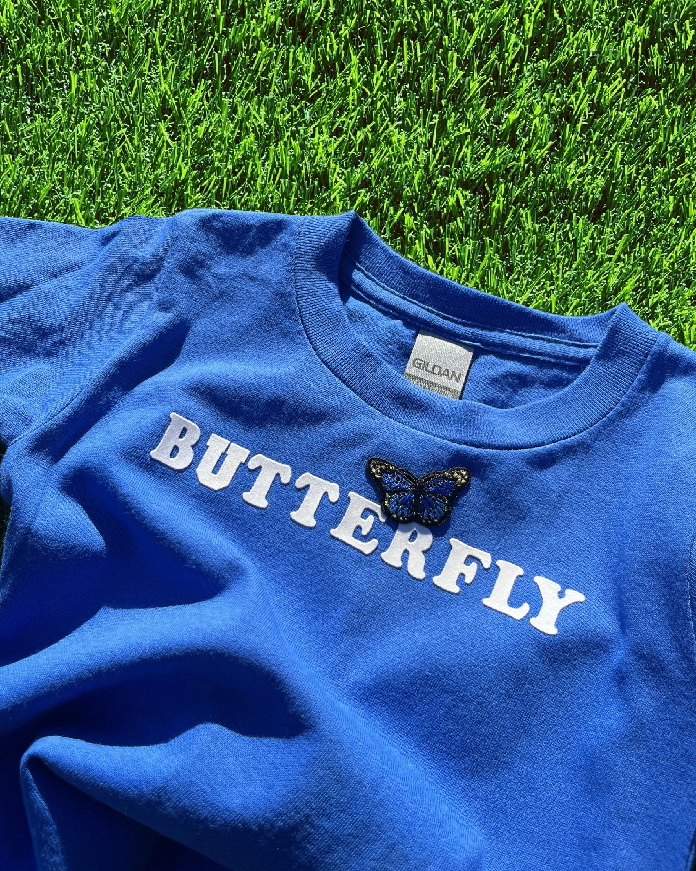 Bright Blue Butterflies (3t)