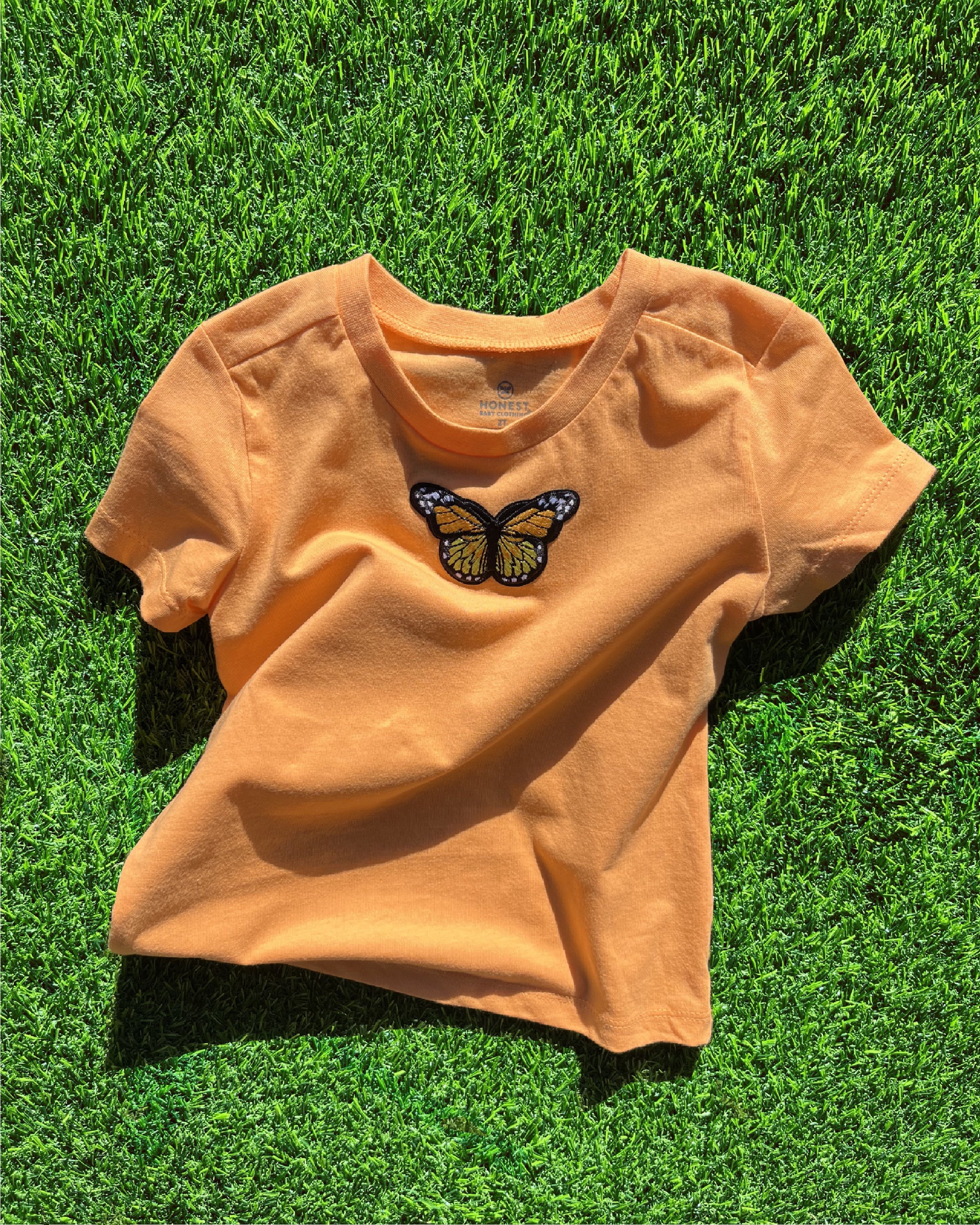 Orange butterfly crinkled.jpg