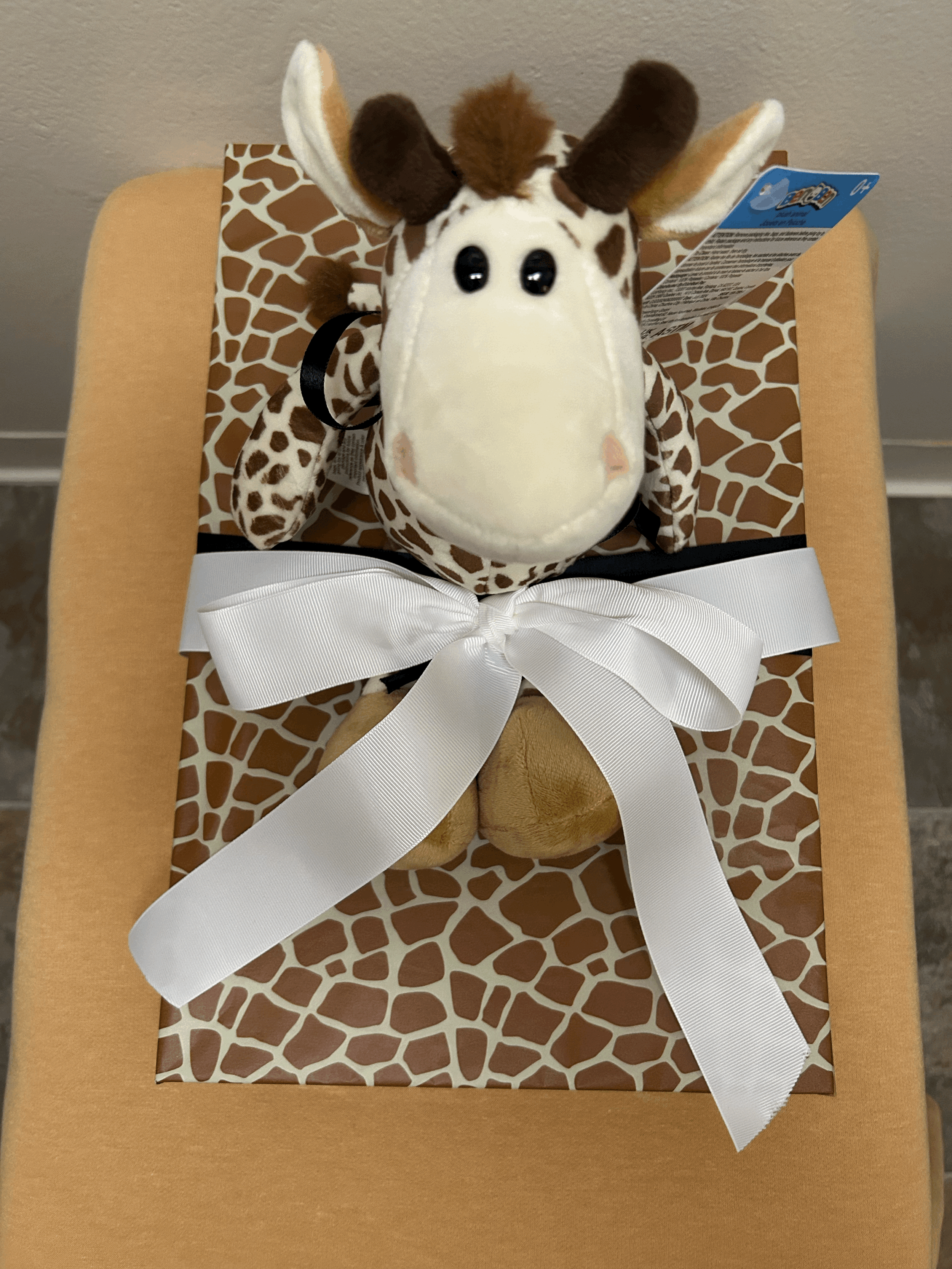 G is for Giraffe (3T) with workbook, picture frame, and stuffed giraffe