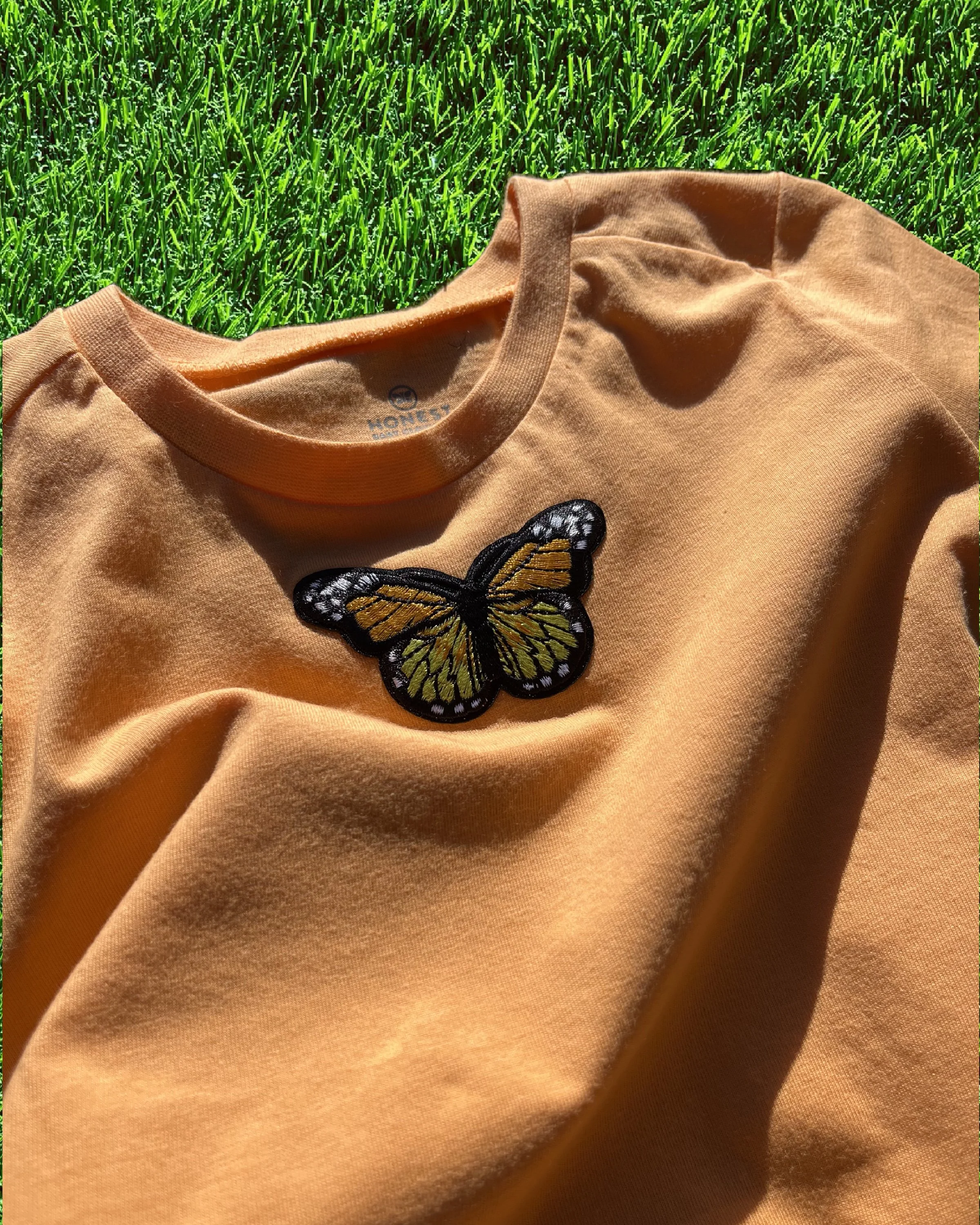 Orange Monarch Butterfly (2t)