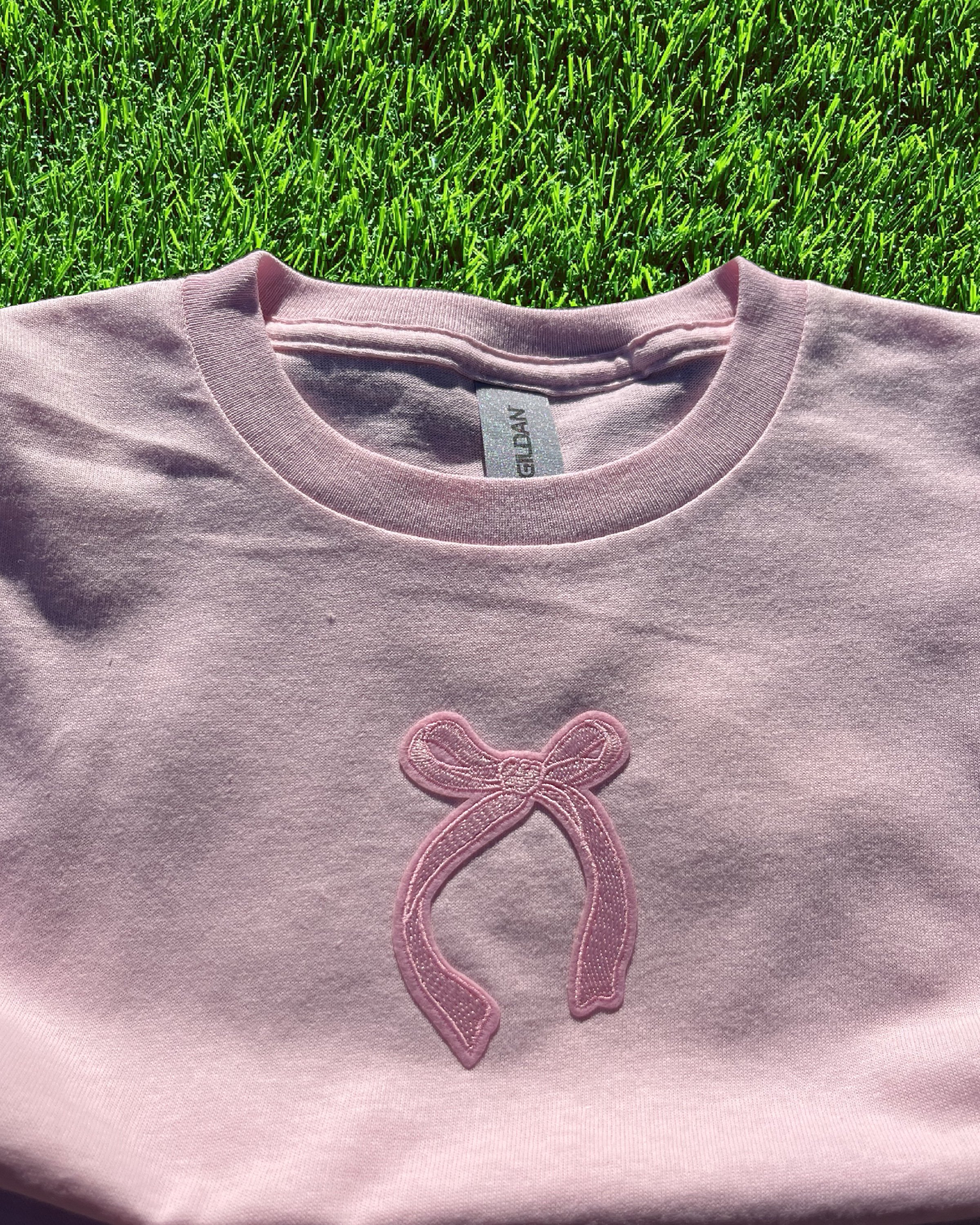 Light Pastel Pink Ribbon (3t)