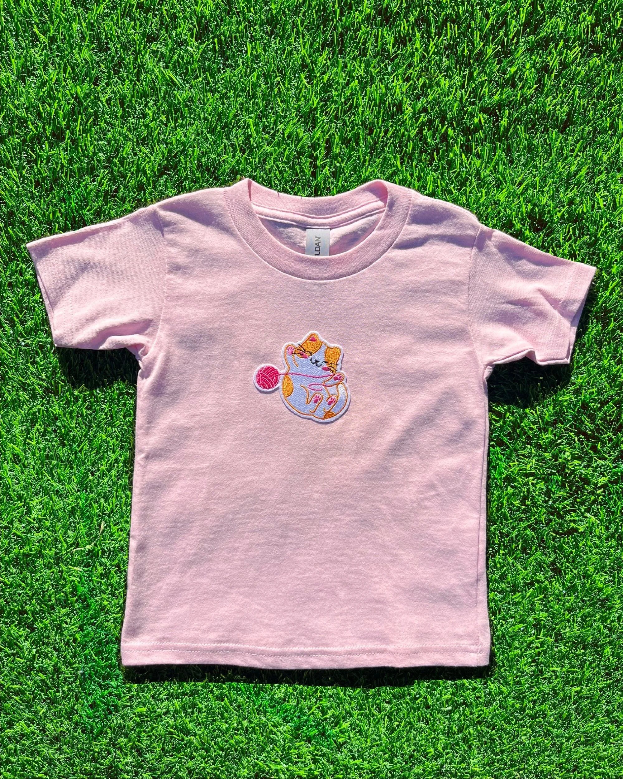 Kitty+pink+3t.jpg