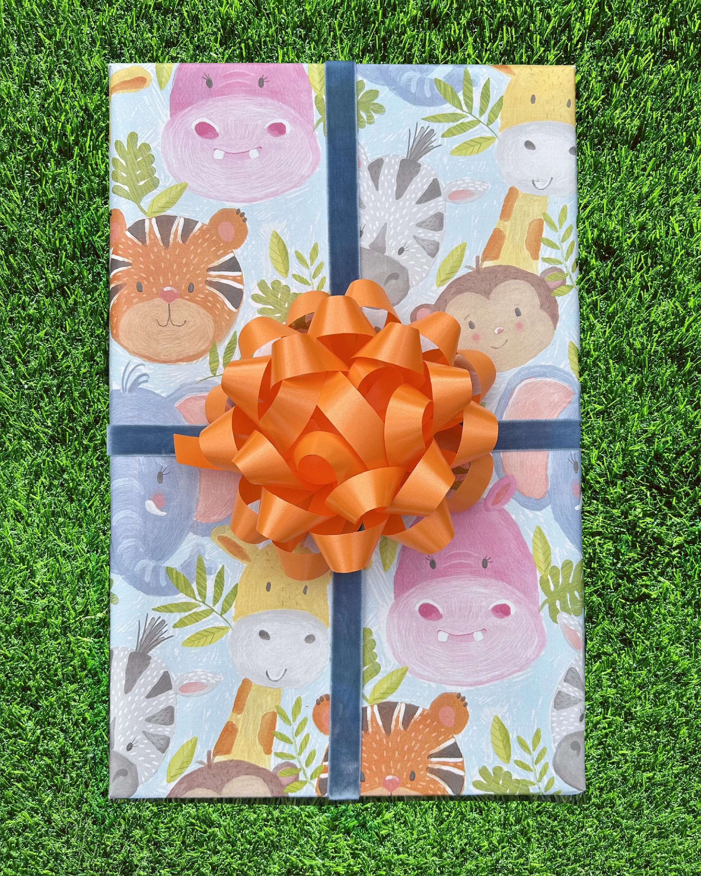 Kitty Cat Tee Wrapped Package (2T)