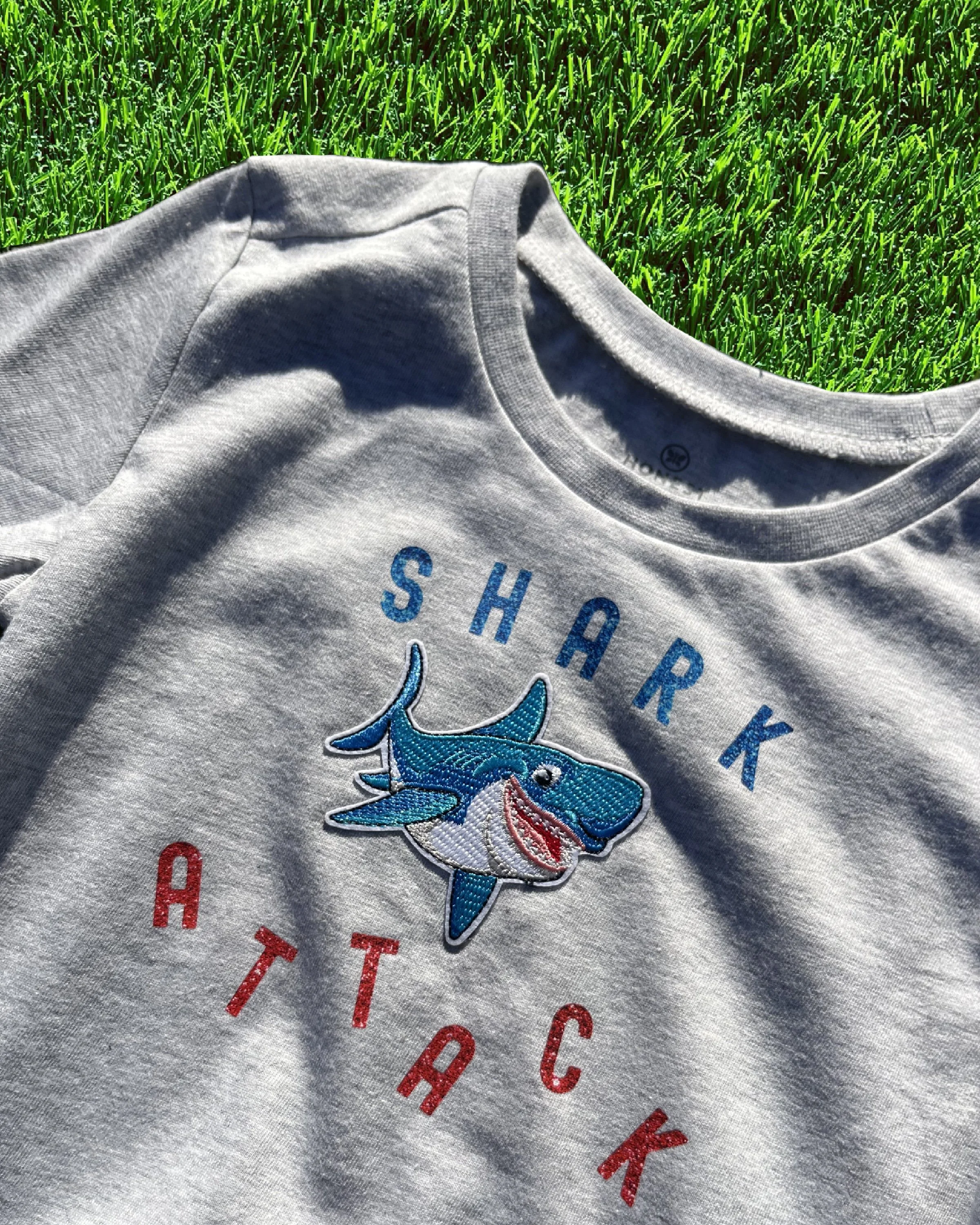 Gray Shark Attack (3t)