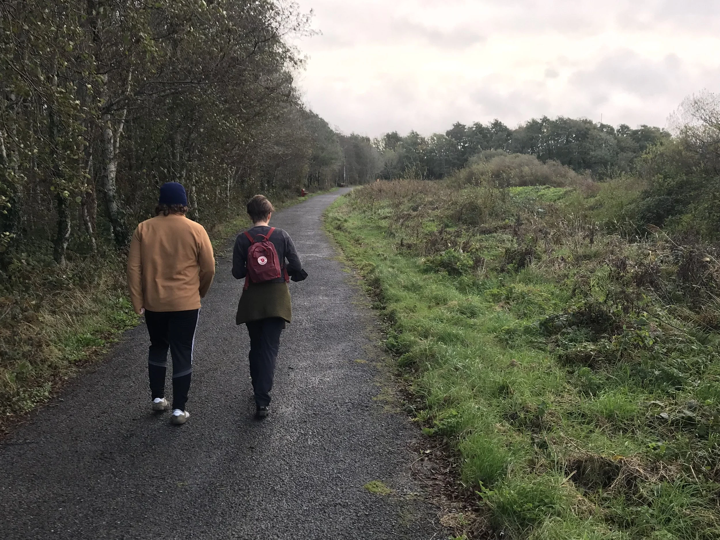 Research: Urban Forest in Galway