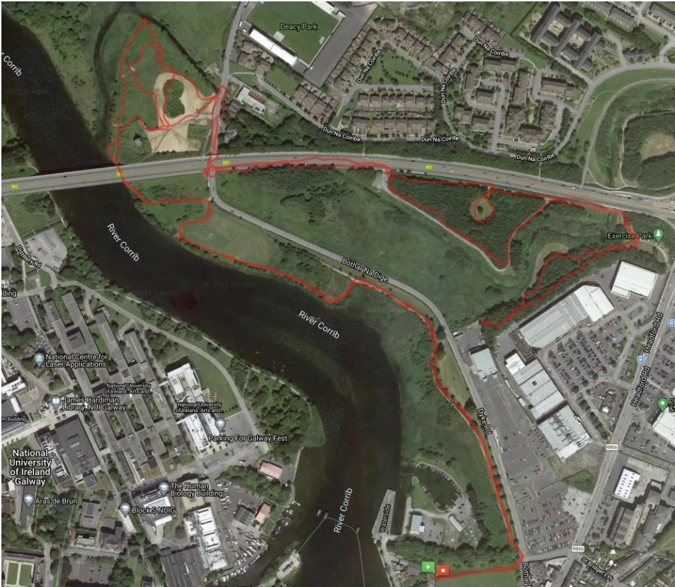 Terryland Forest Park Red Route.jpg