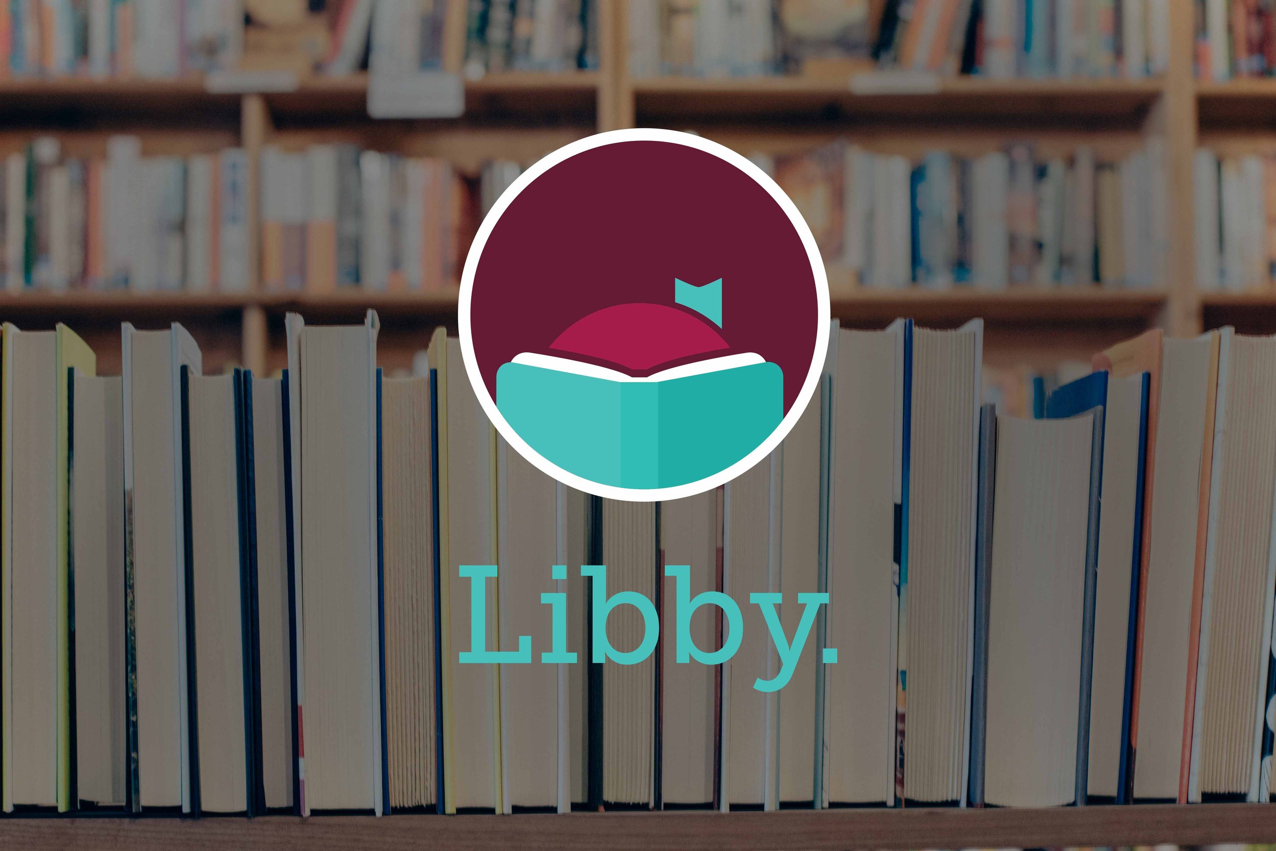 Libby Book Pic.jpg