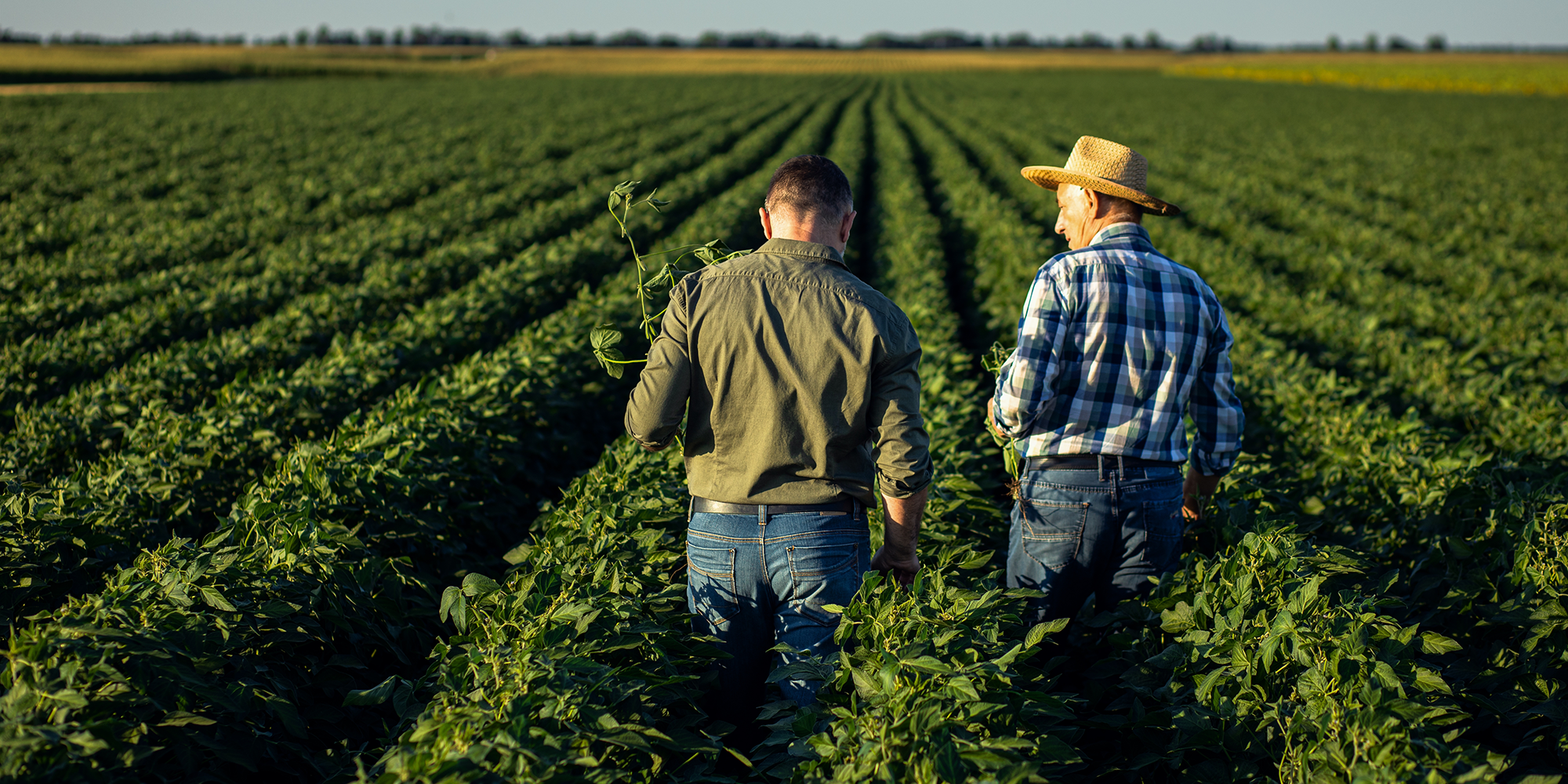 “Farmers for a Fair Deal” Launches to Advocate for Midwest Rural Economic Development