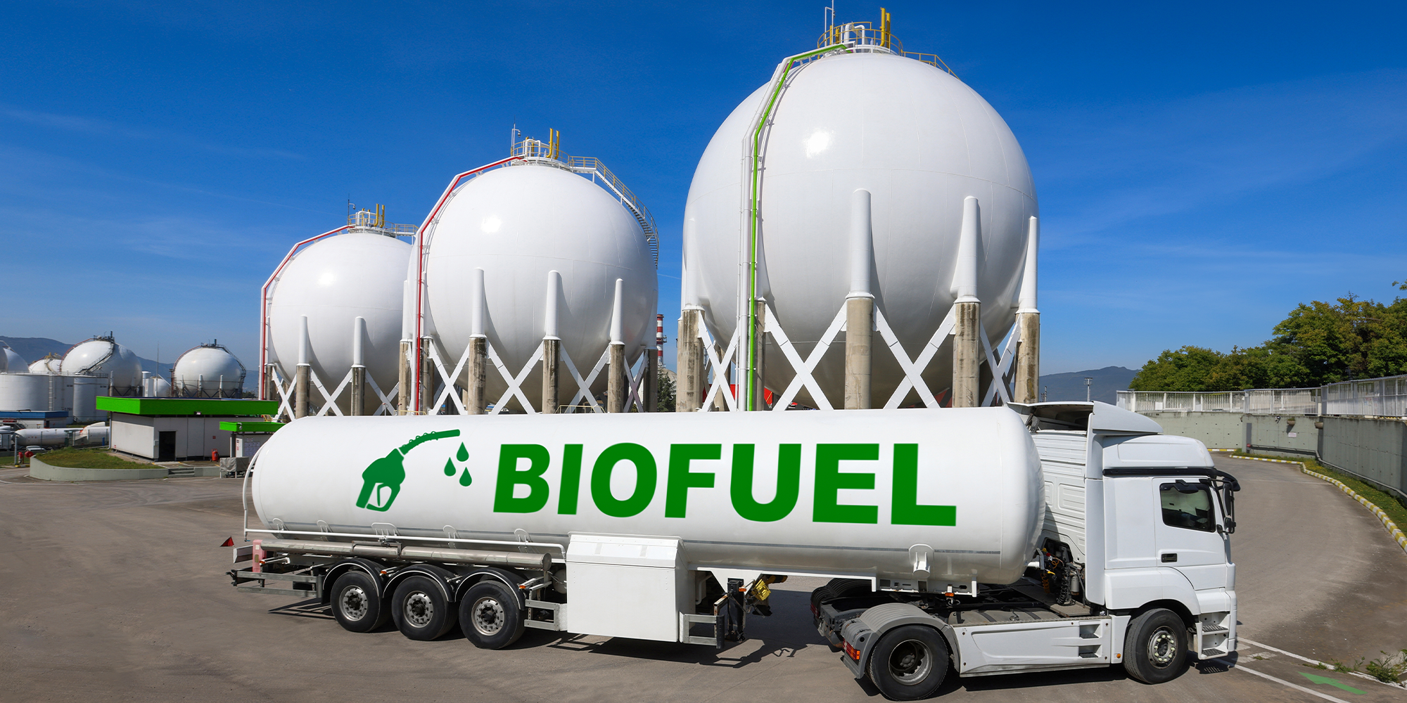 Proposed 45Z Rule Goes to OMB—FFAFD Urges Inclusion of Fischbach Provision