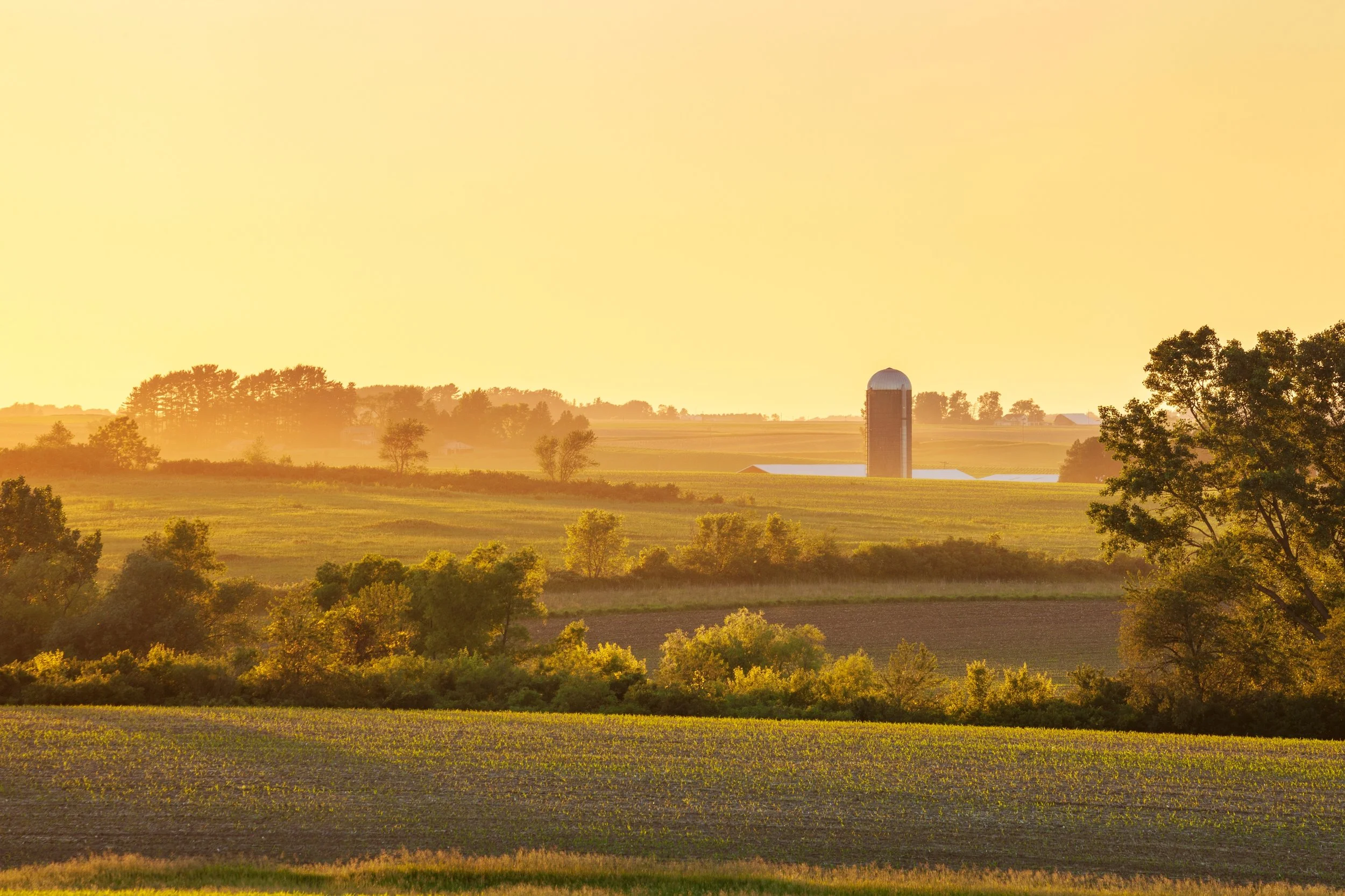 Sunset over farmland with trees and a silo in the distance.
