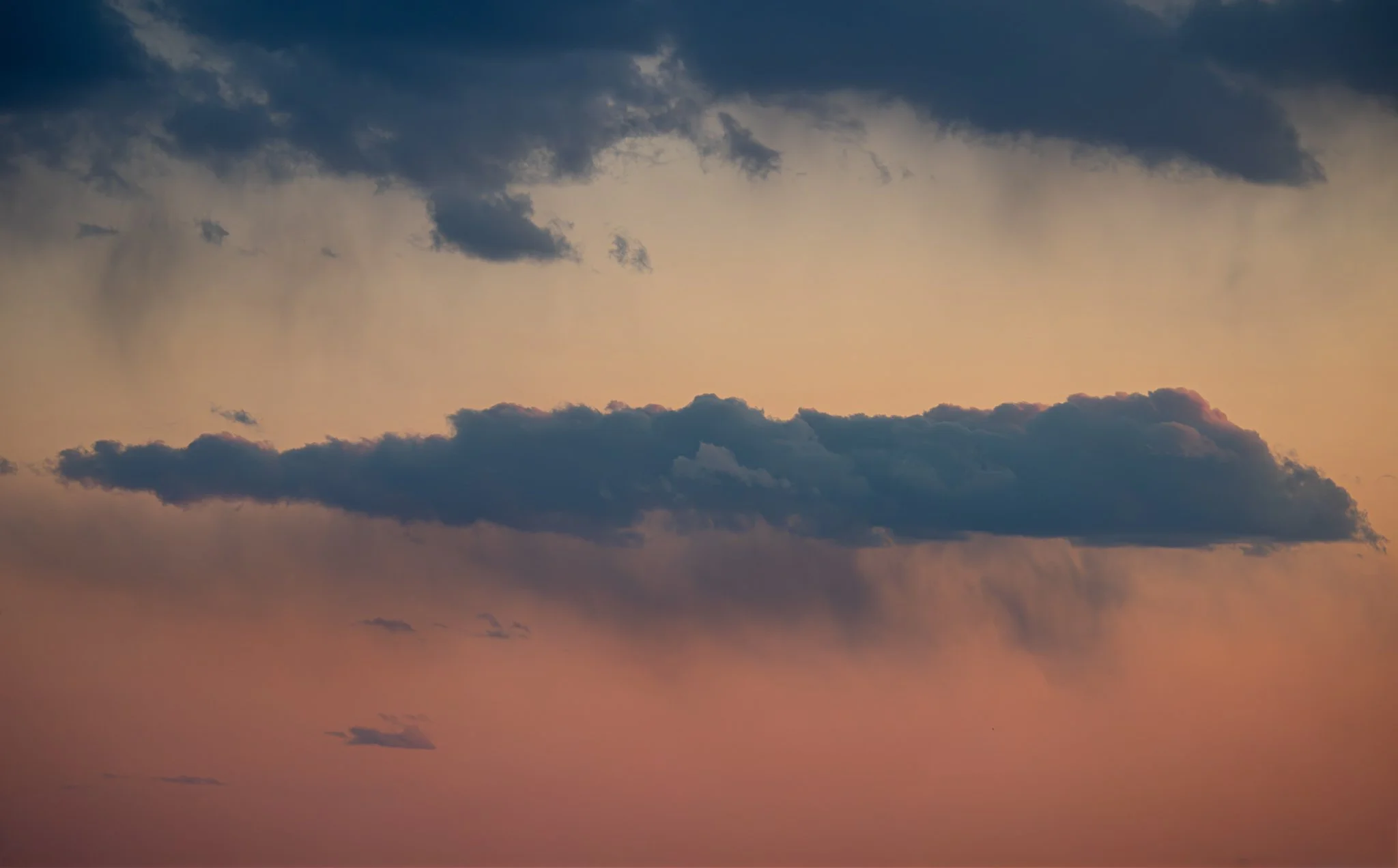 _DSC3064.jpg