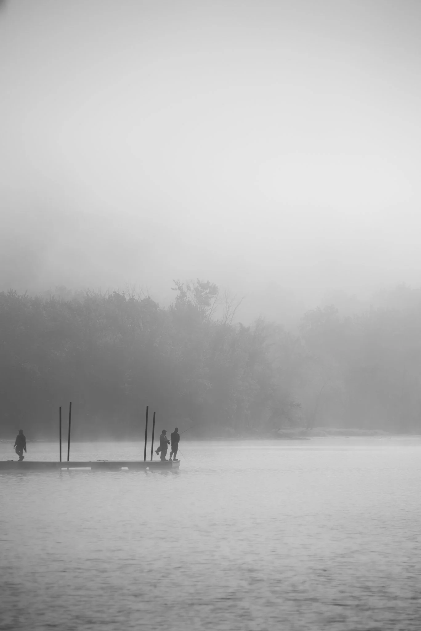 _DSC3513.jpg