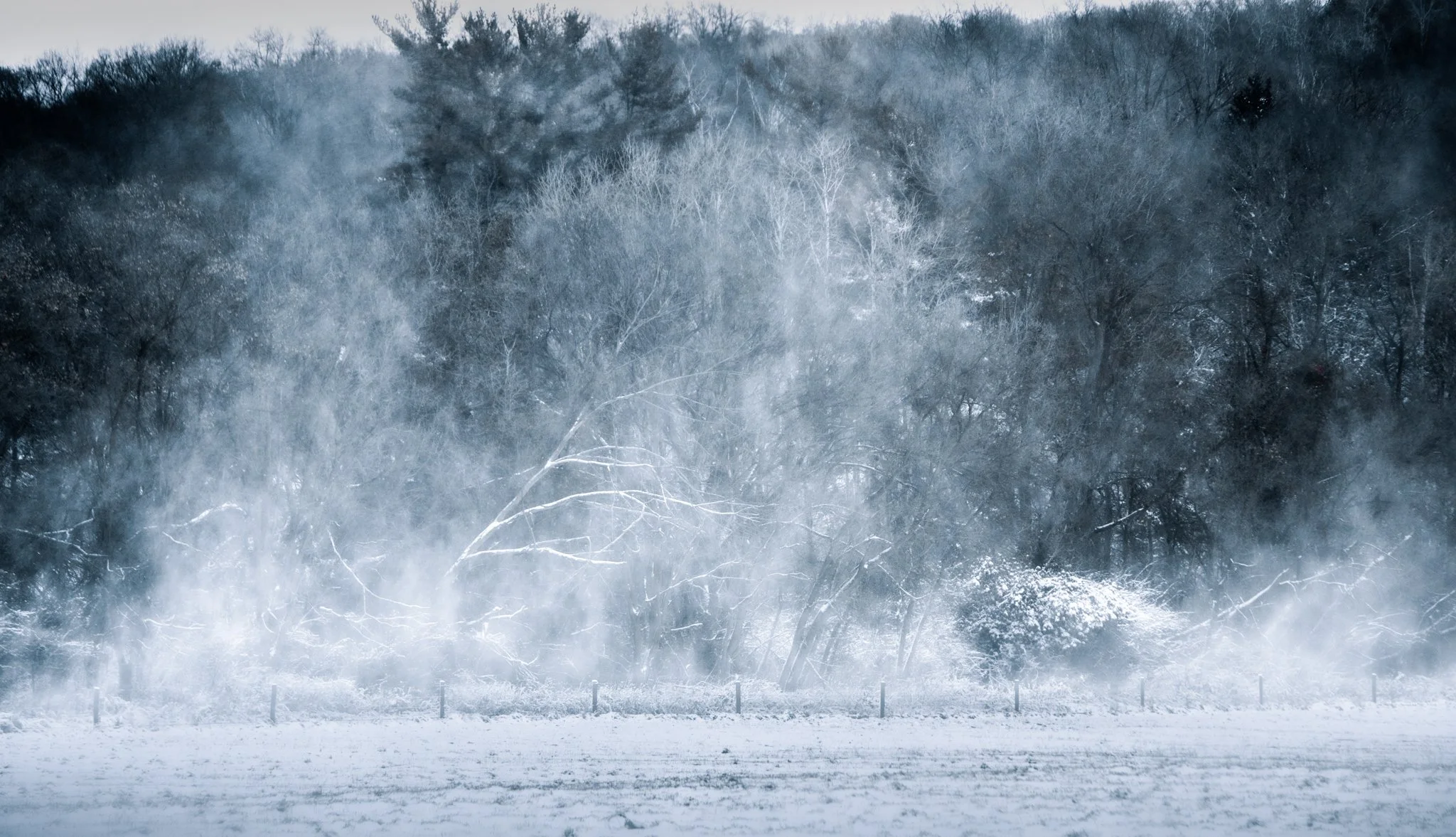 _DSC9427.jpg