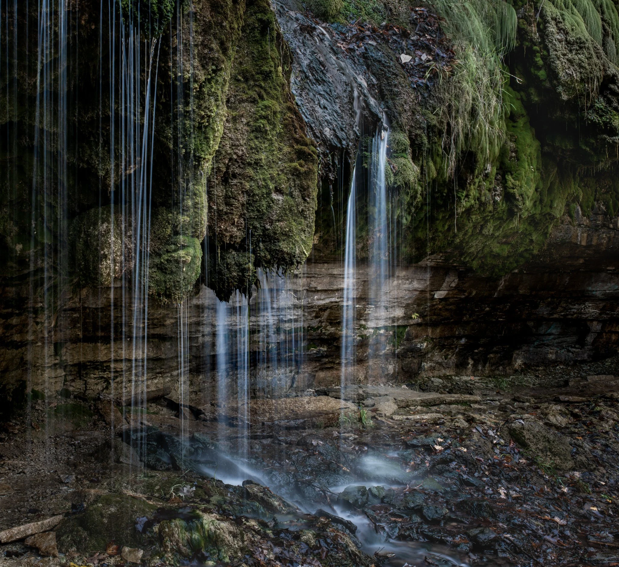 _DSC7653.jpg