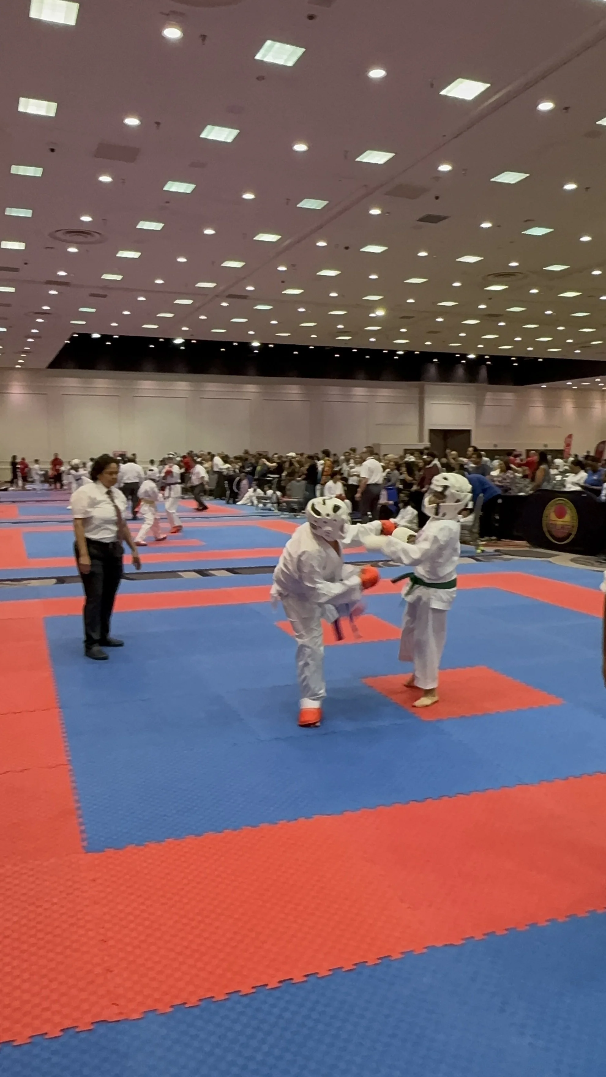 2026 North American Open International Karate Tournament (Las Vegas, NV)