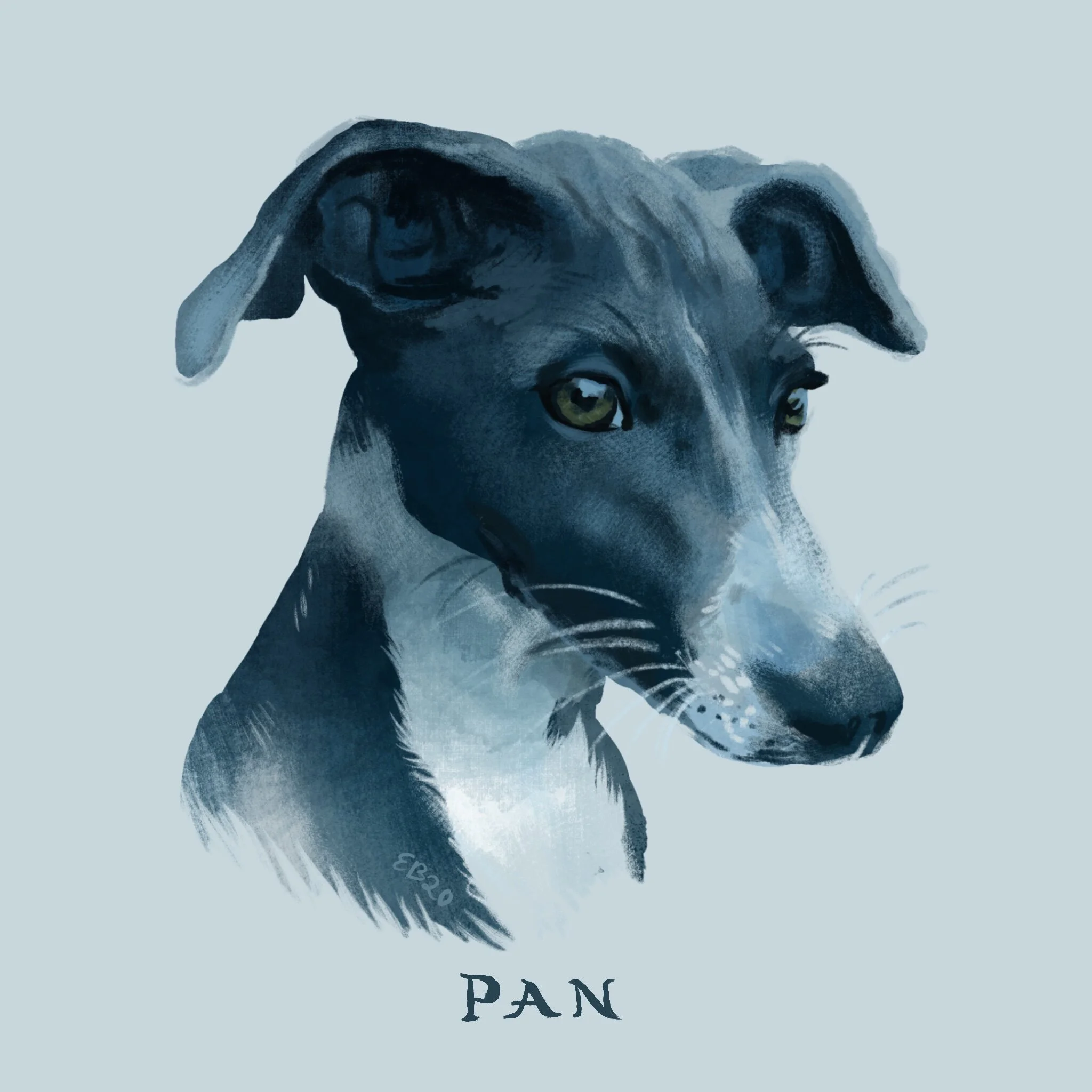 Pan portrait.jpg