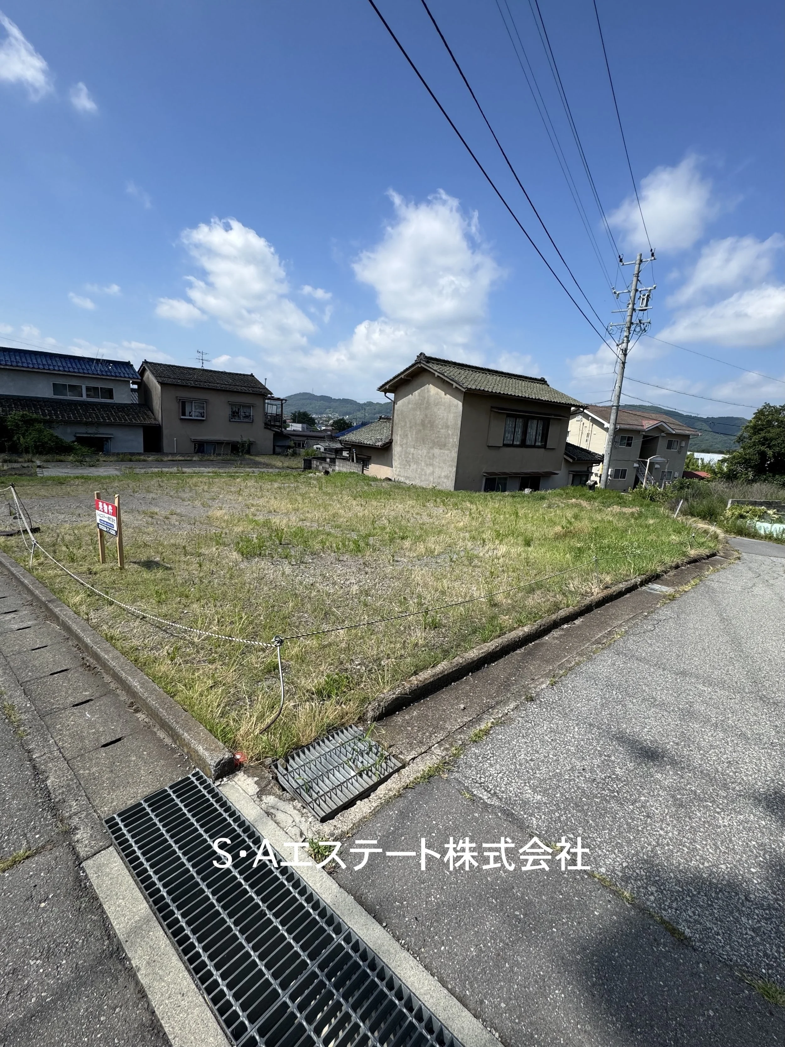 山の背景と木々、少しの草と落ち葉が舞い散る土の地面の、静かな自然の風景