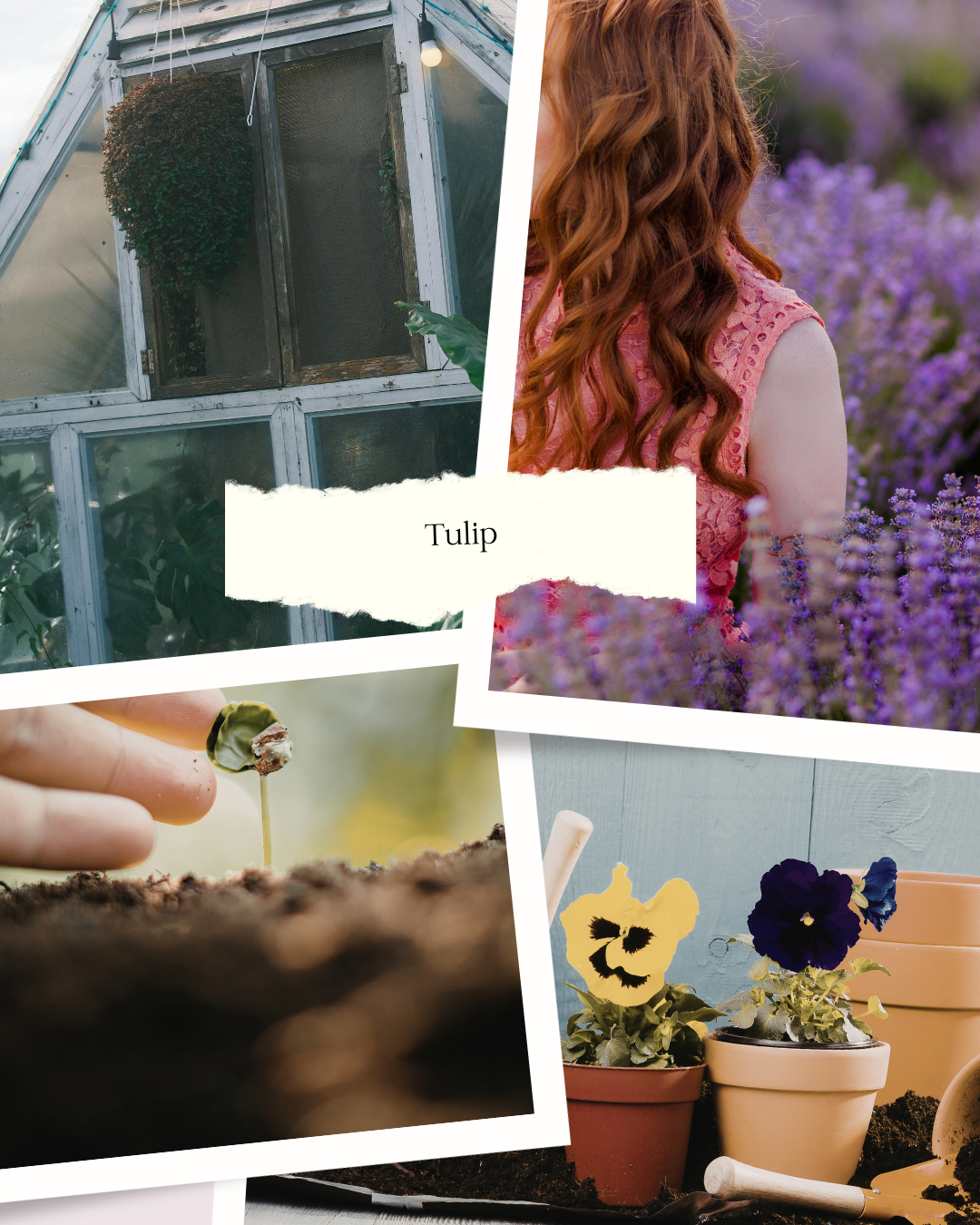 Character Profiles - Tulip, Tony, Nyx