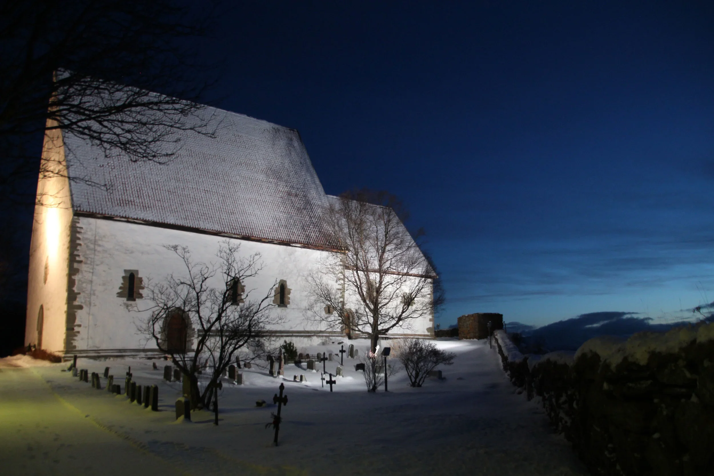 IMG_4596-(1).jpg.webp