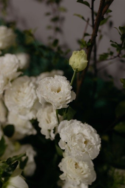 7ACEE0F2-2BE5-41AB-ABA7-7B6736049749 (1).jpeg