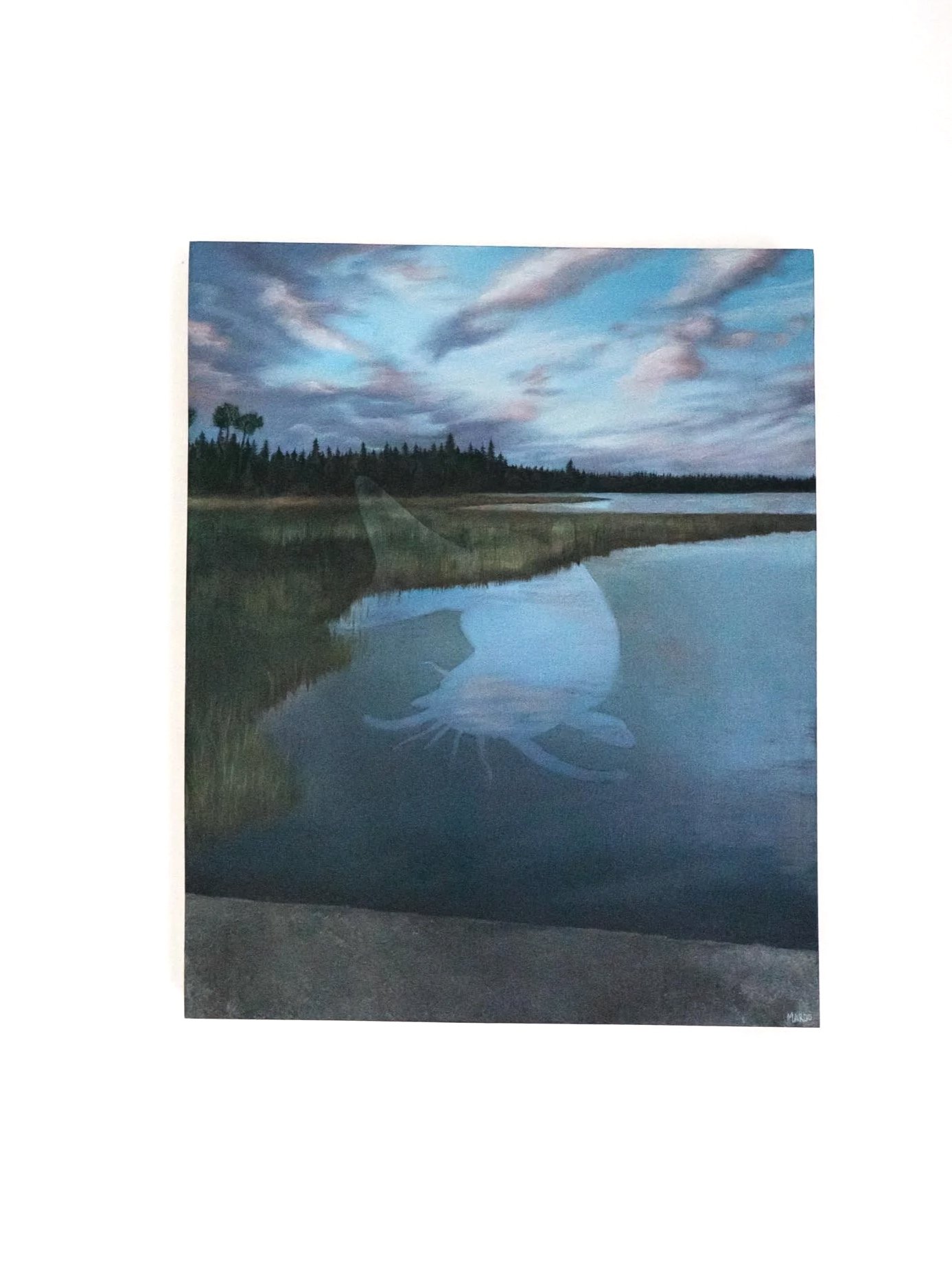 Un hameçon à l'oreille