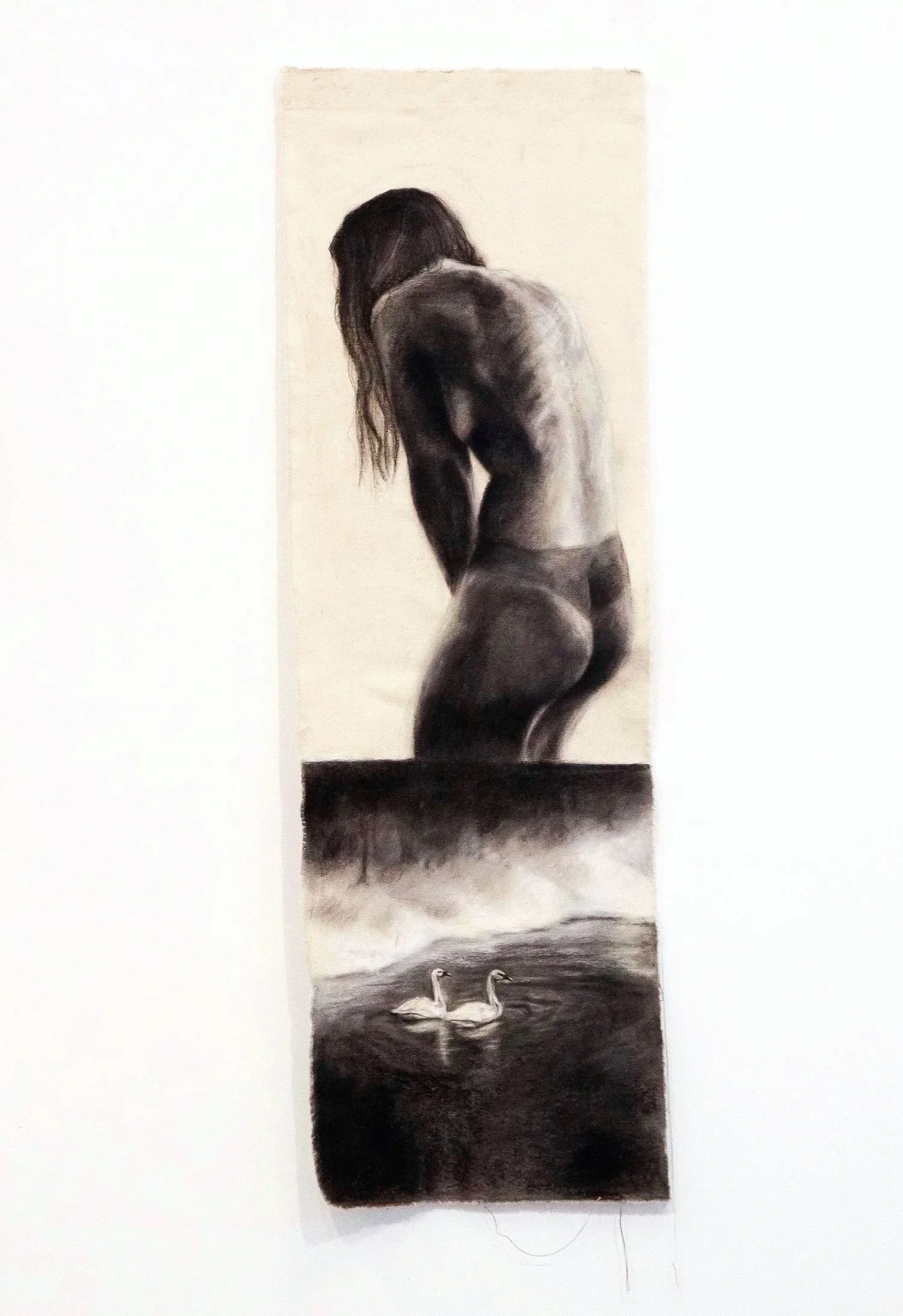 Trois cygnes, un soir d'hivers