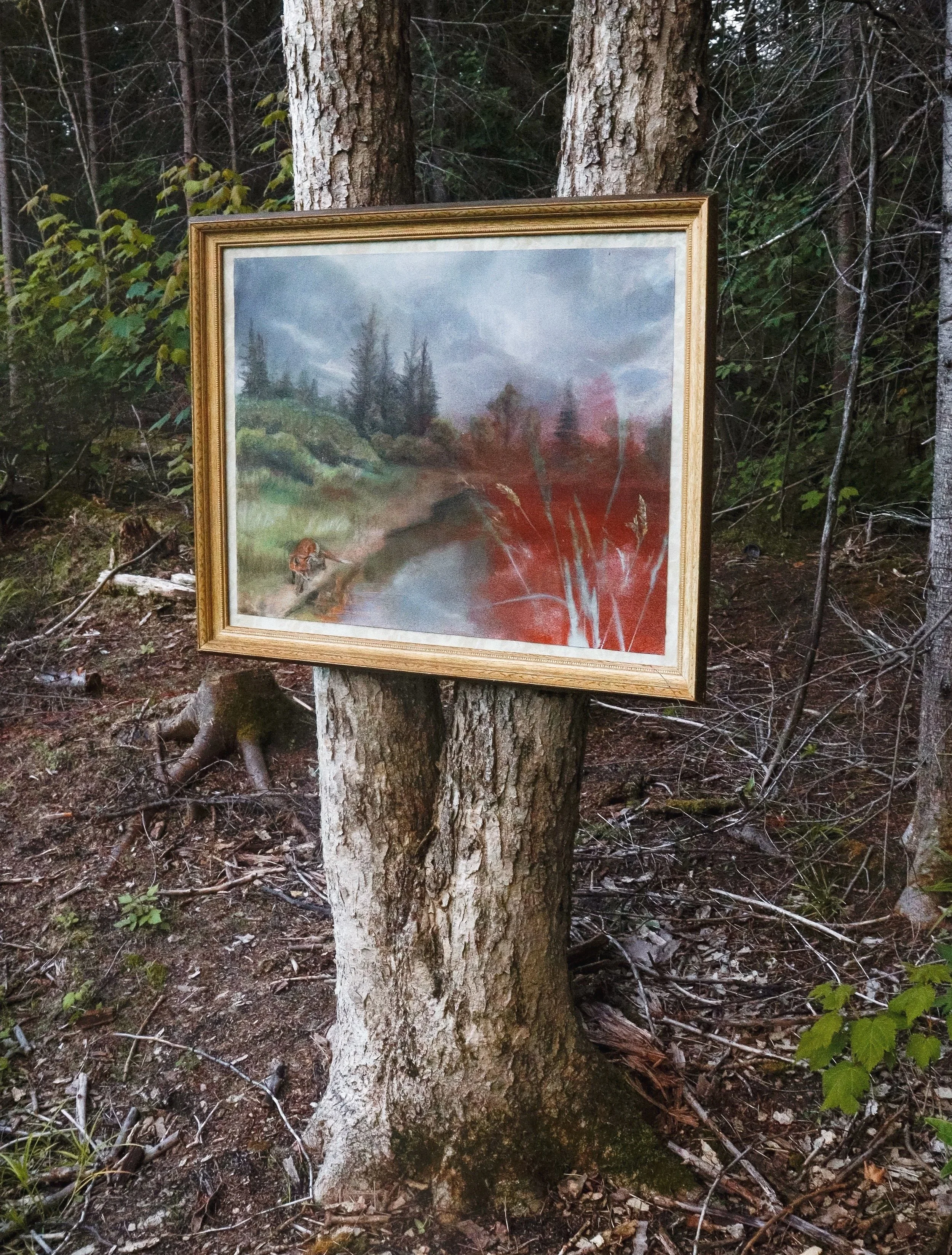 Trying To Remember Who I Used To Be