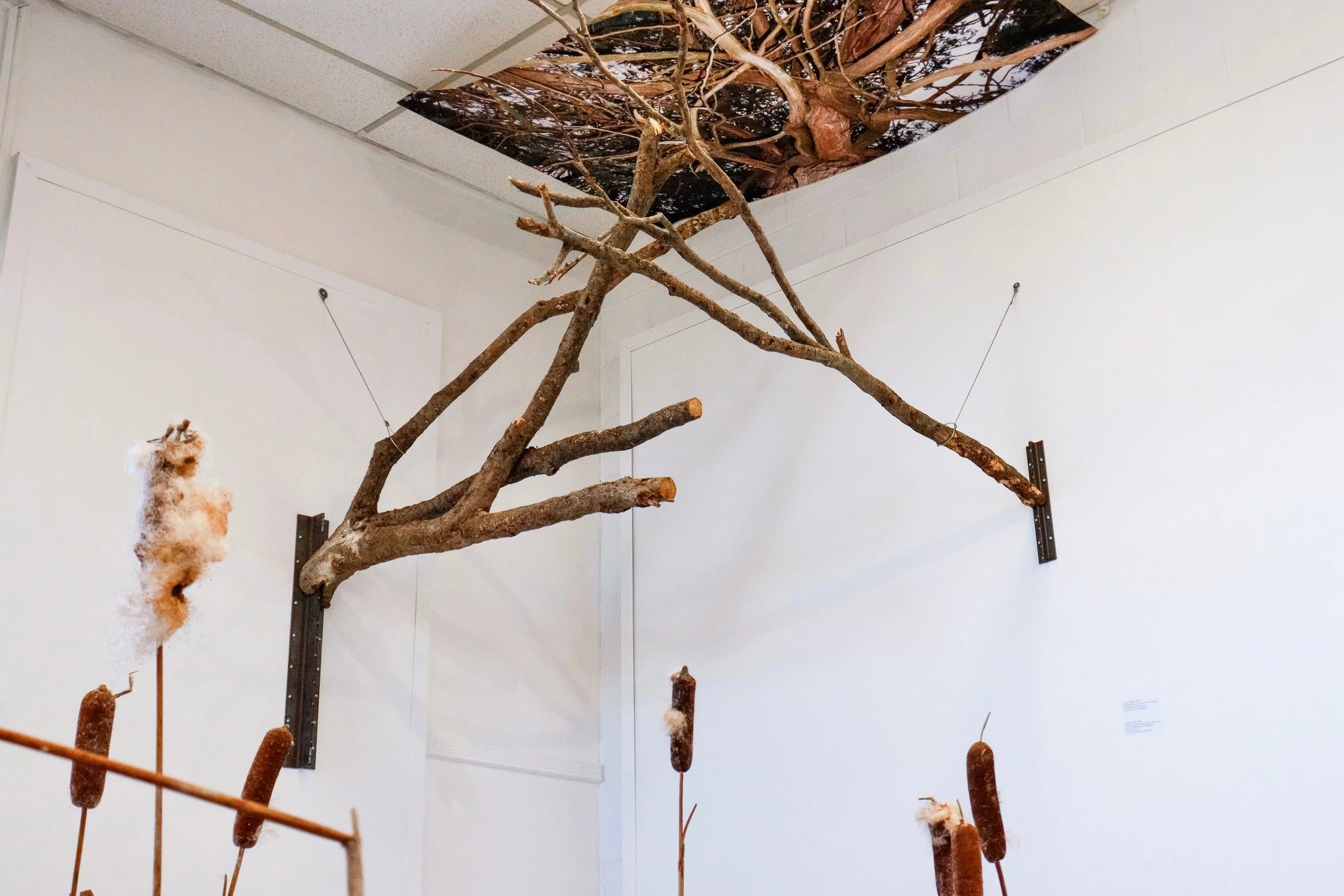 _MG_0158 3_2500x1667.jpeg