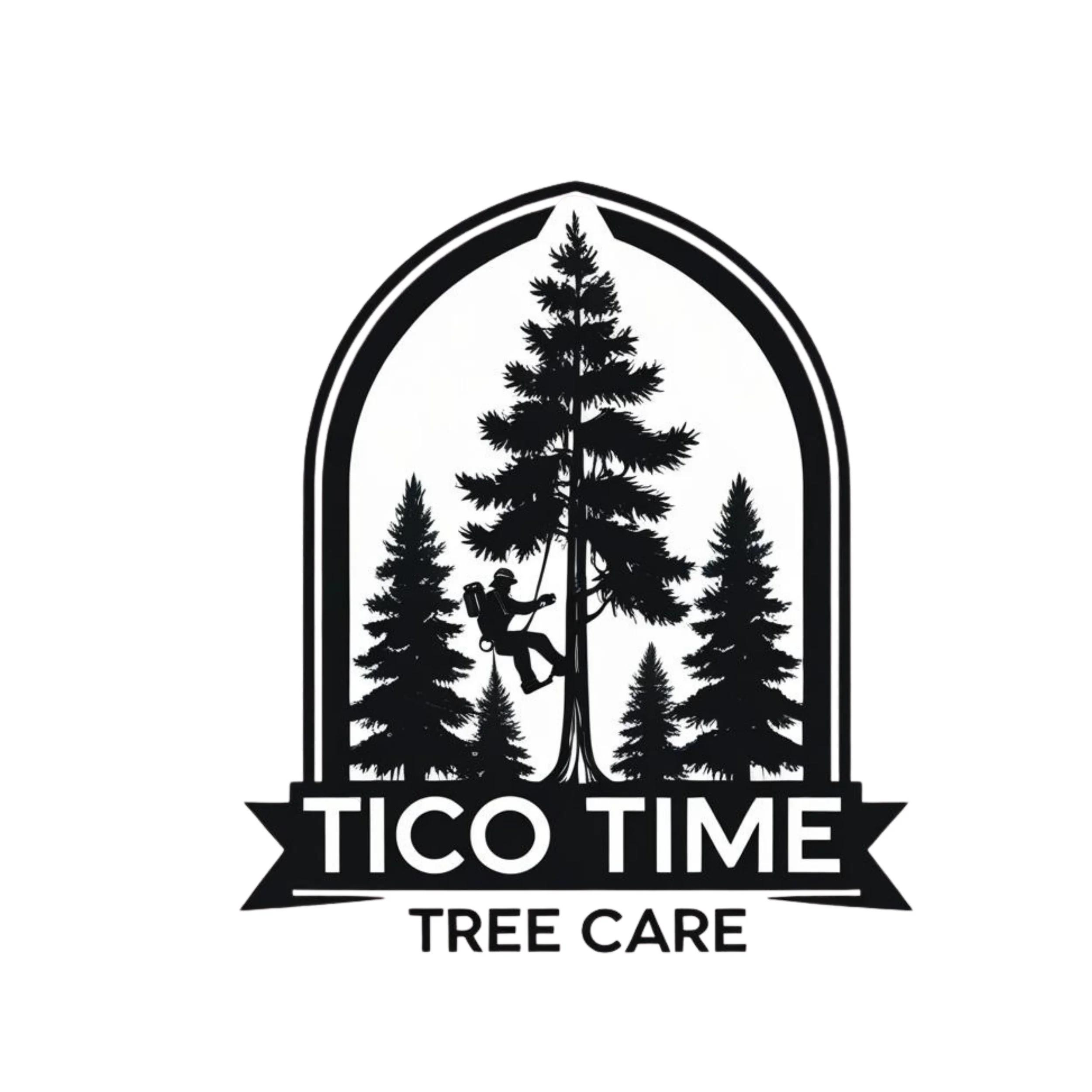 Silhouette of a tree climber trimming a tall pine surrounded by other pine trees, inside an arched frame with text below that reads 'Tico Time Tree Care'.