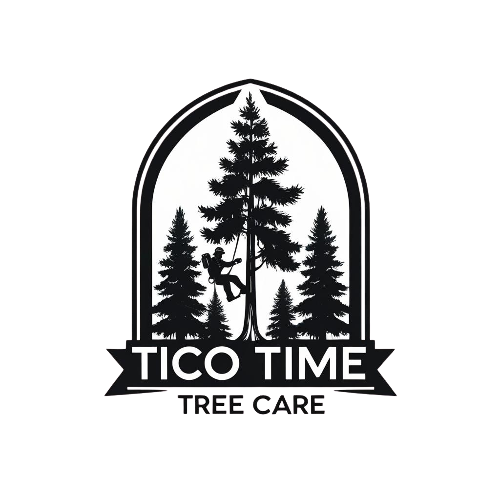 Tico Time Tree Care, LLC 