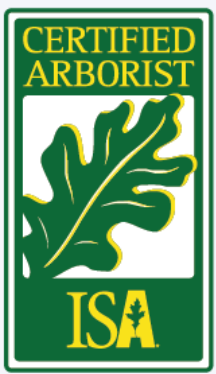 Certified Arborist ISA logo featuring a green oak leaf and the text 'Certified Arborist ISA' in yellow and green.