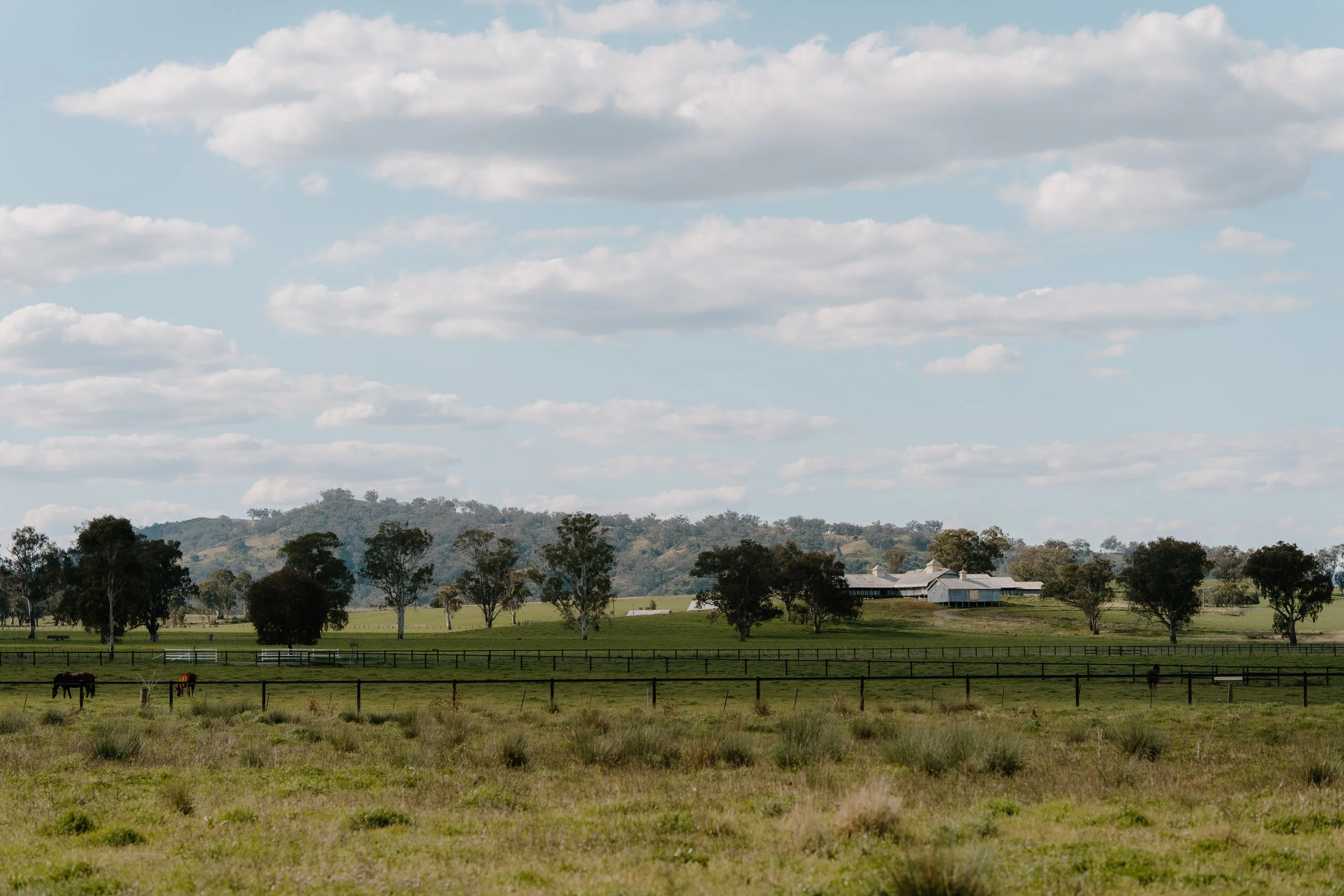 MableProjects__DSC9949_September 02_ 2025.jpg