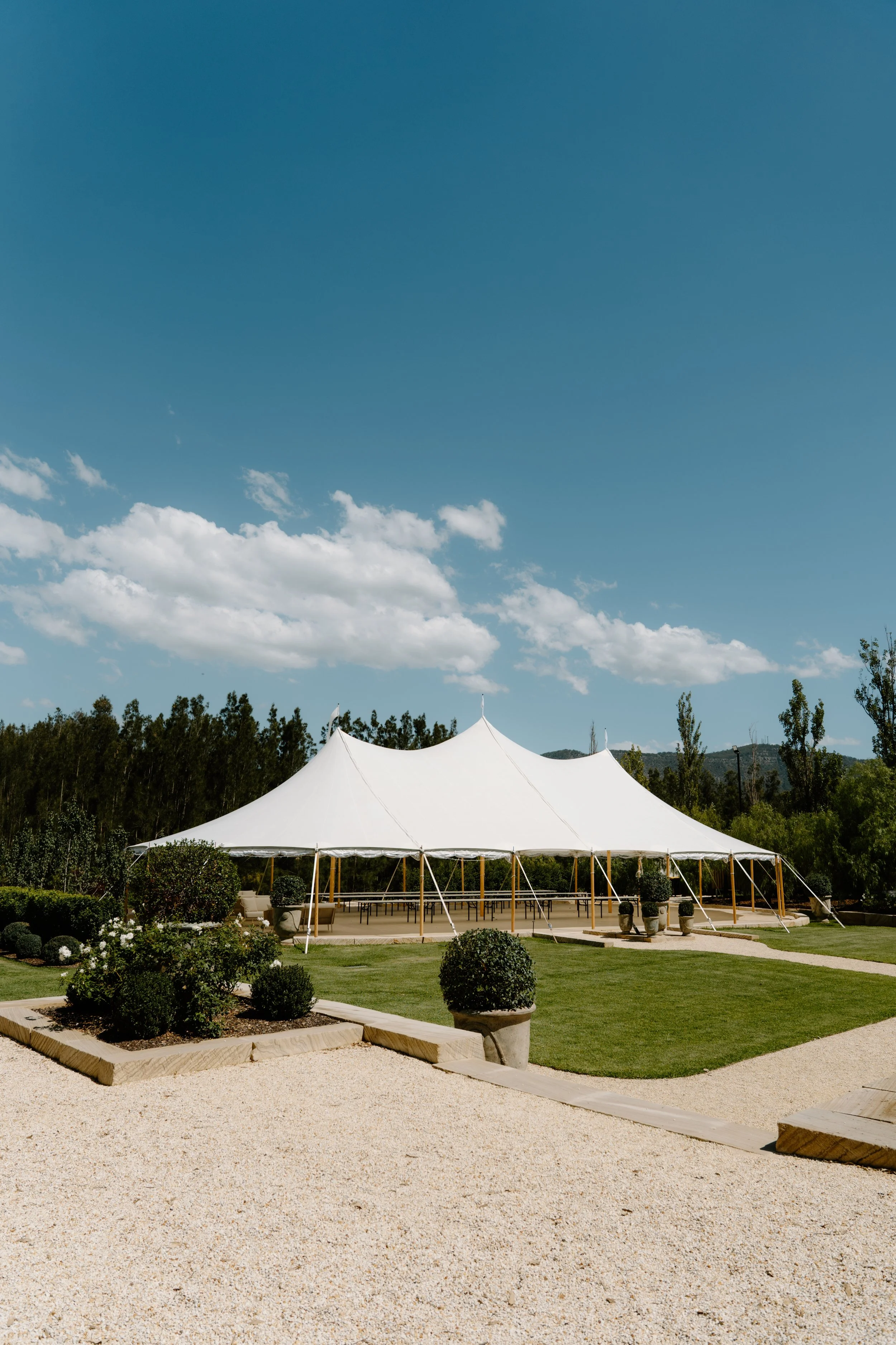 Mable Projects x McGuigan_28.jpg