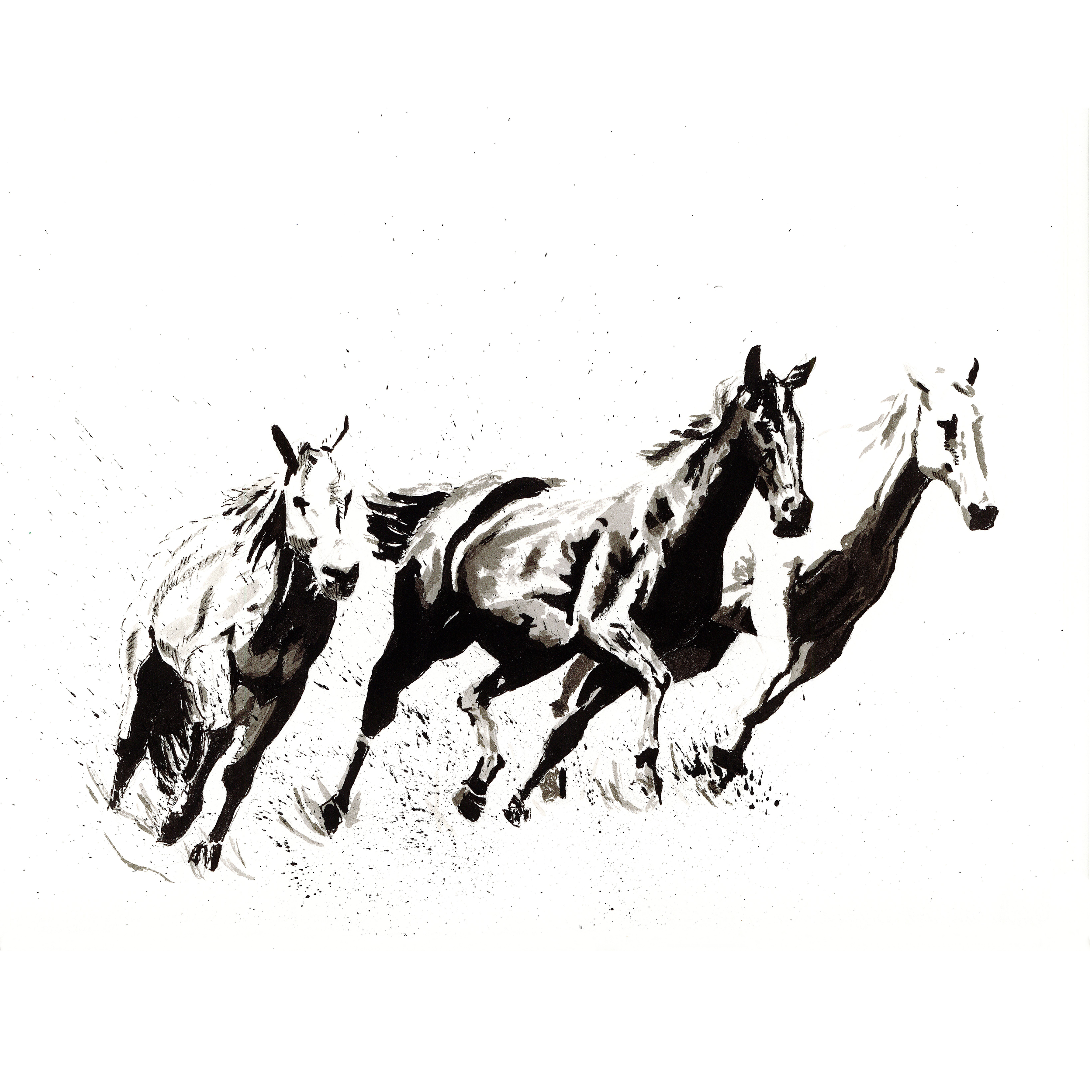Horses 1 to 1.png
