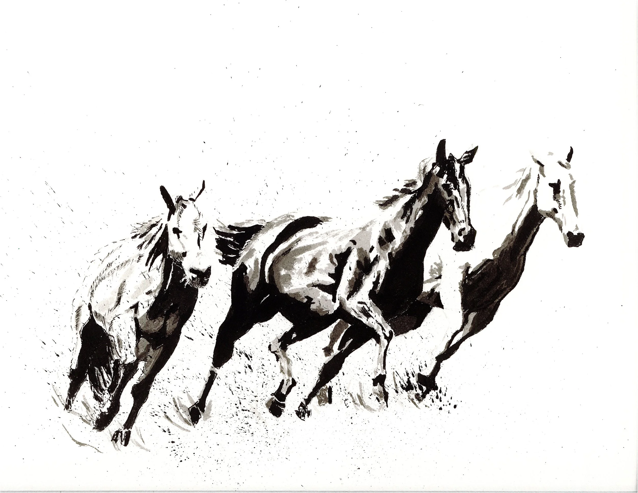 Wild Horses.jpg