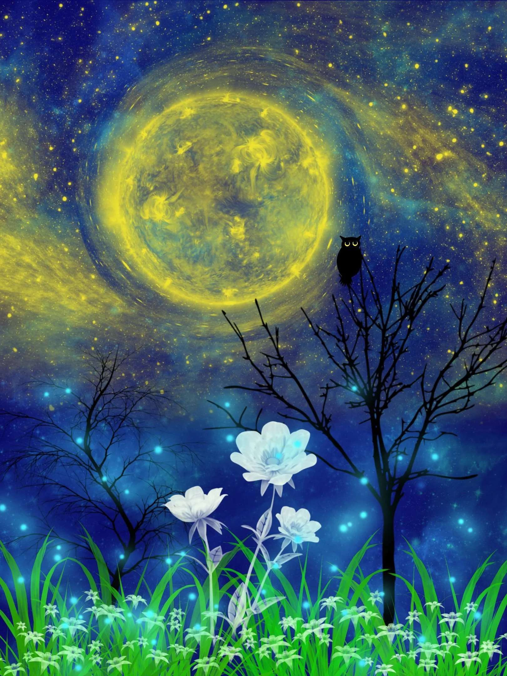 Bloom_In_Darkness.jpg