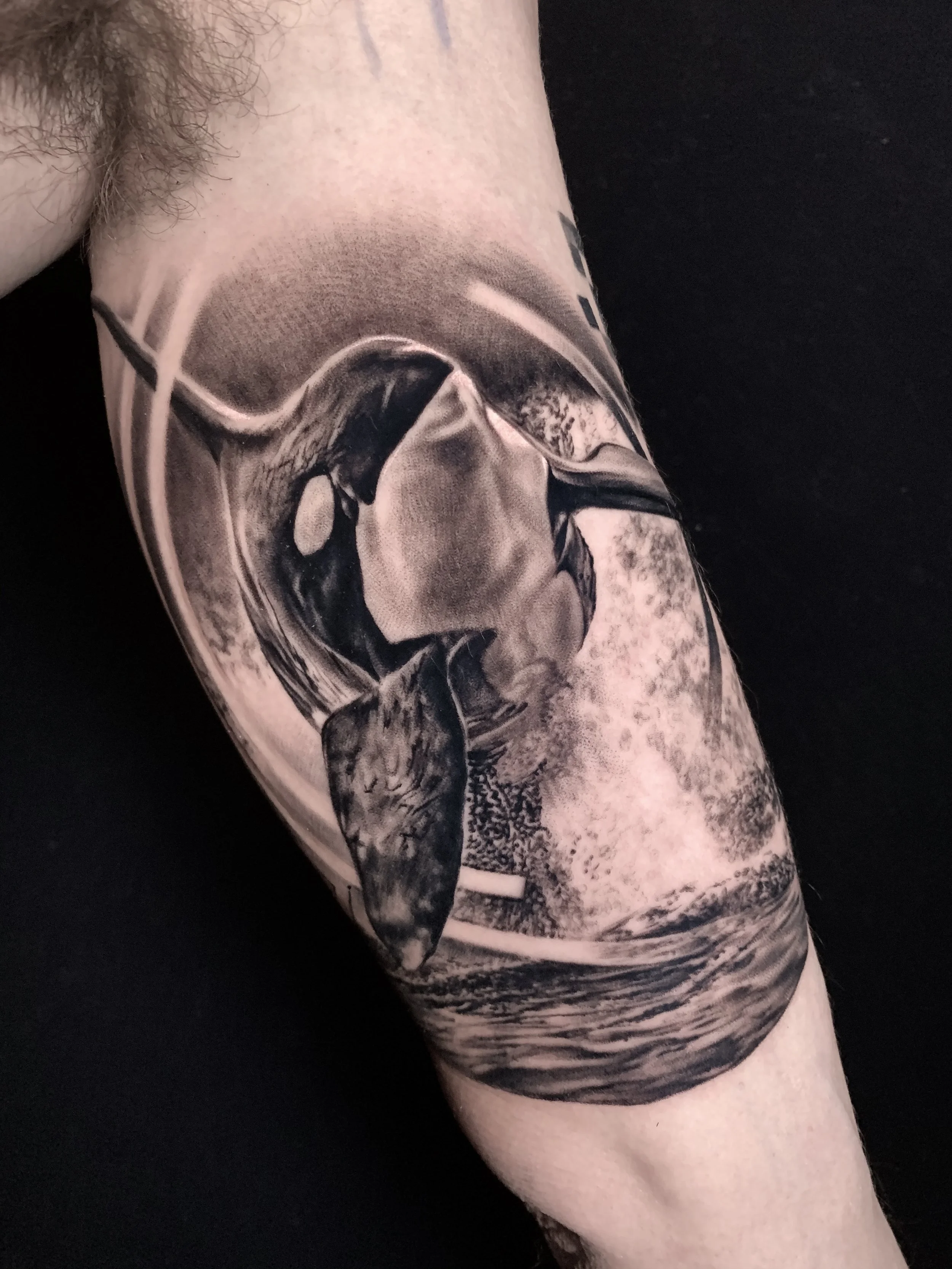 Realistic Balck and grey, Orca Whale tattoo,  graphic patterns. In Los Angeles Area, at Outer Limits tattoo shop. by Jhon Gutti