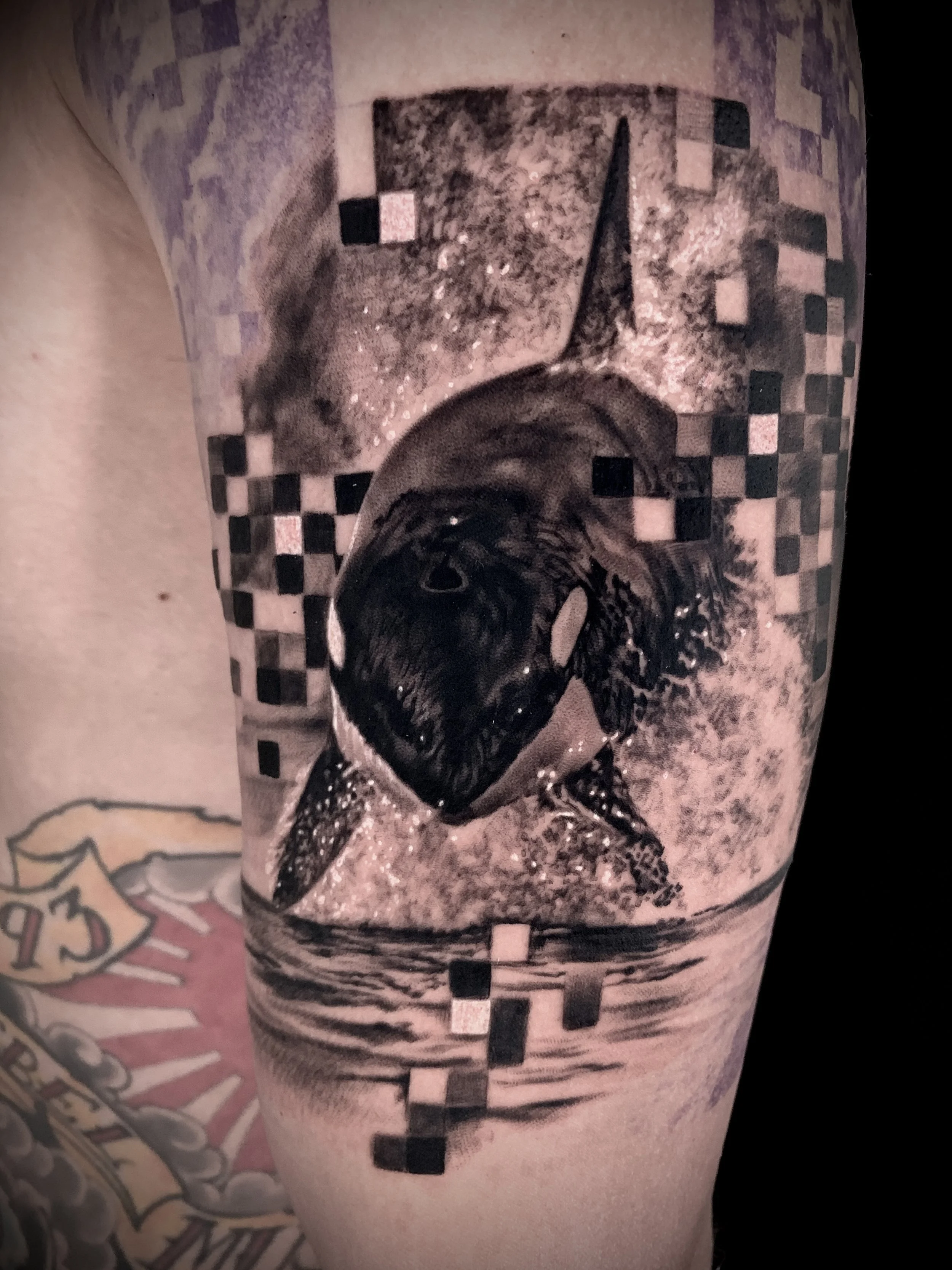 Realistic Balck and grey, Orca Whale tattoo, pixels pattern, graphic patterns. In Los Angeles Area, at Outer Limits tattoo shop. by Jhon Gutti