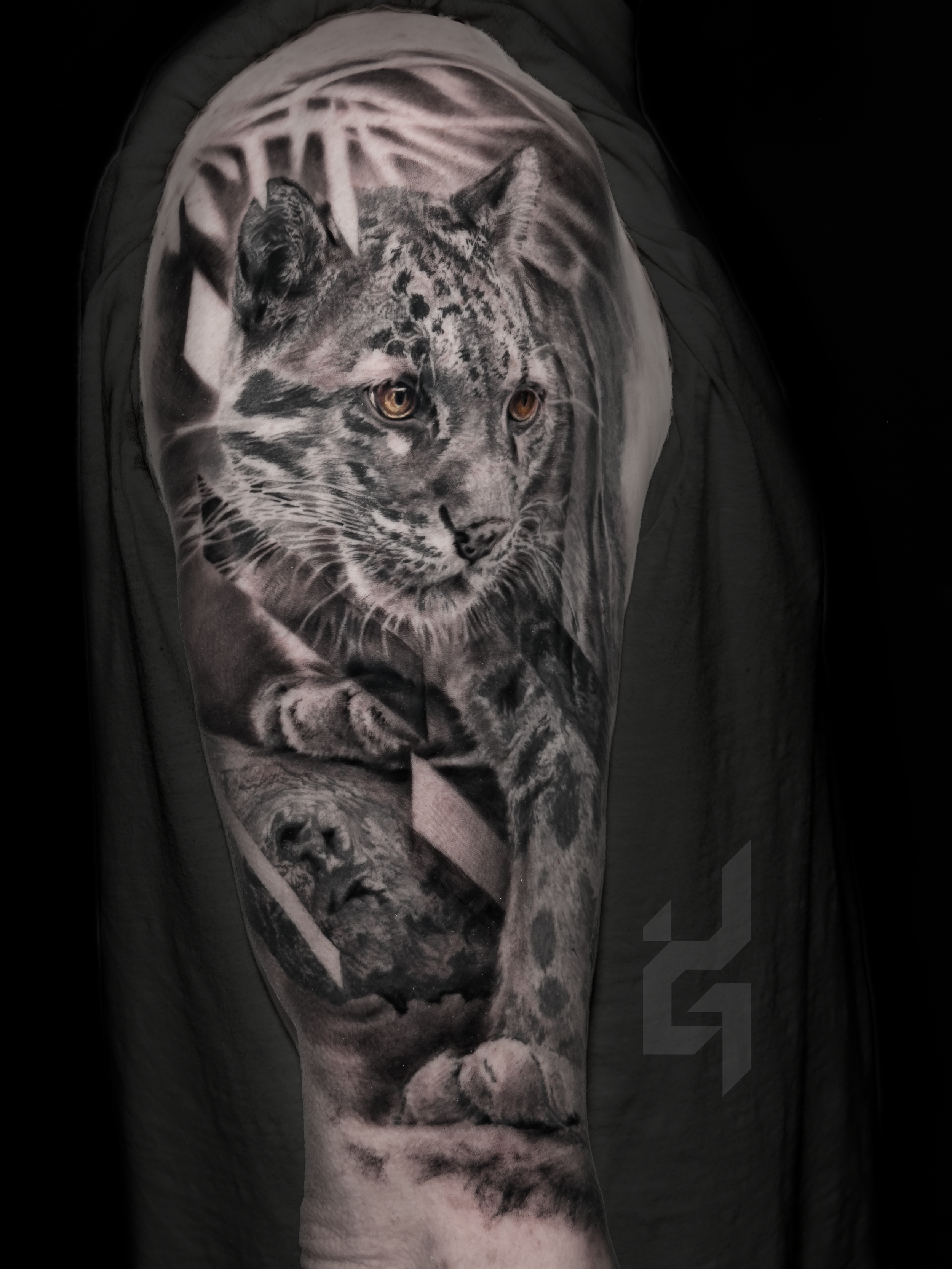 Clouded Leopard.png