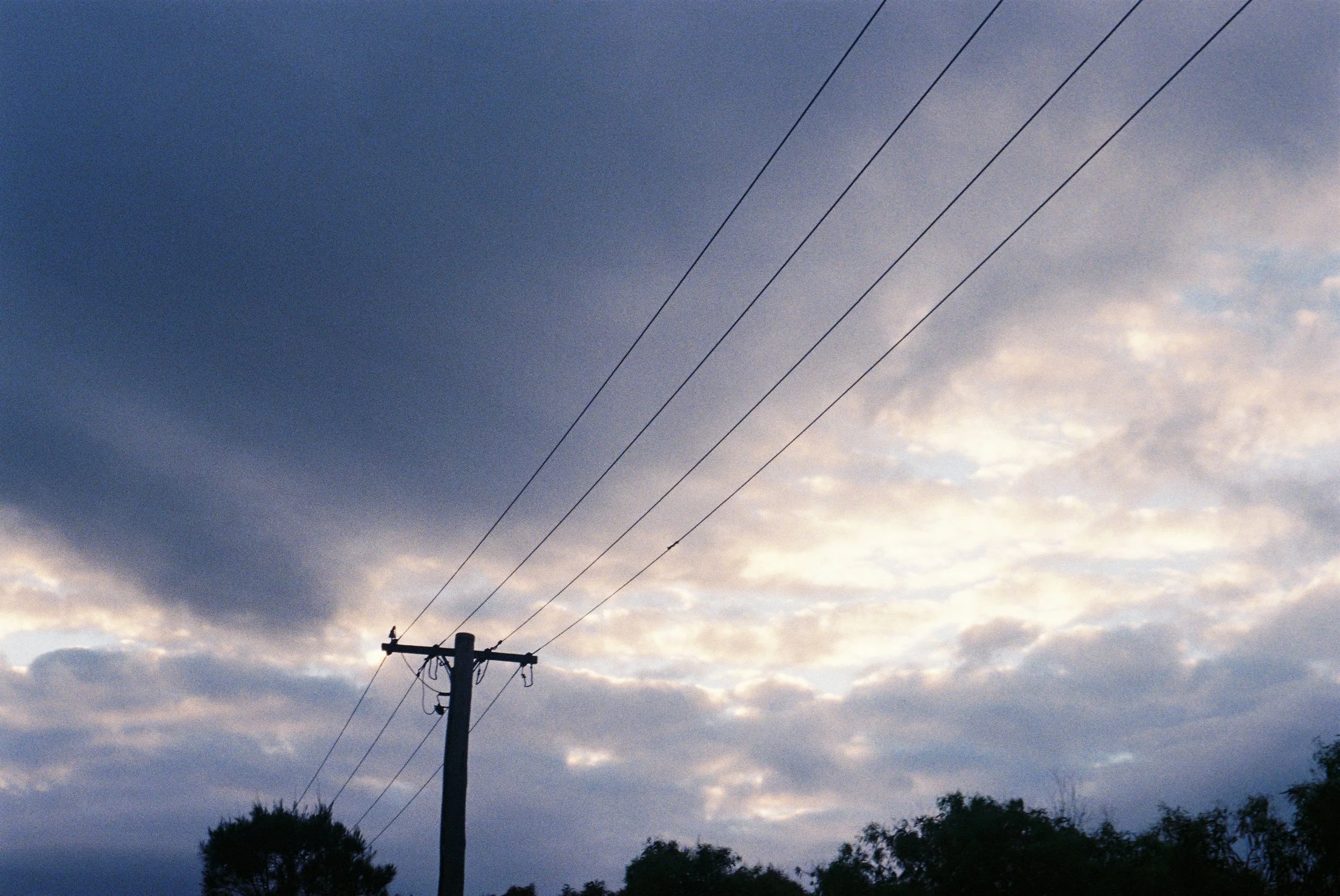 IMG_1095.jpeg