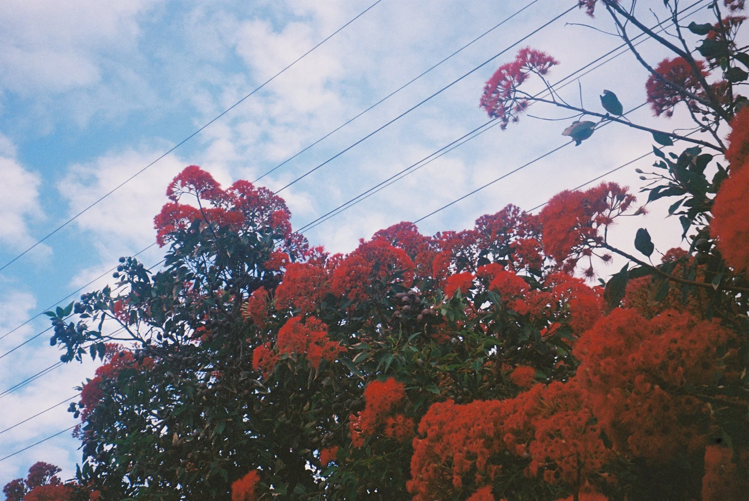 IMG_1144.jpeg