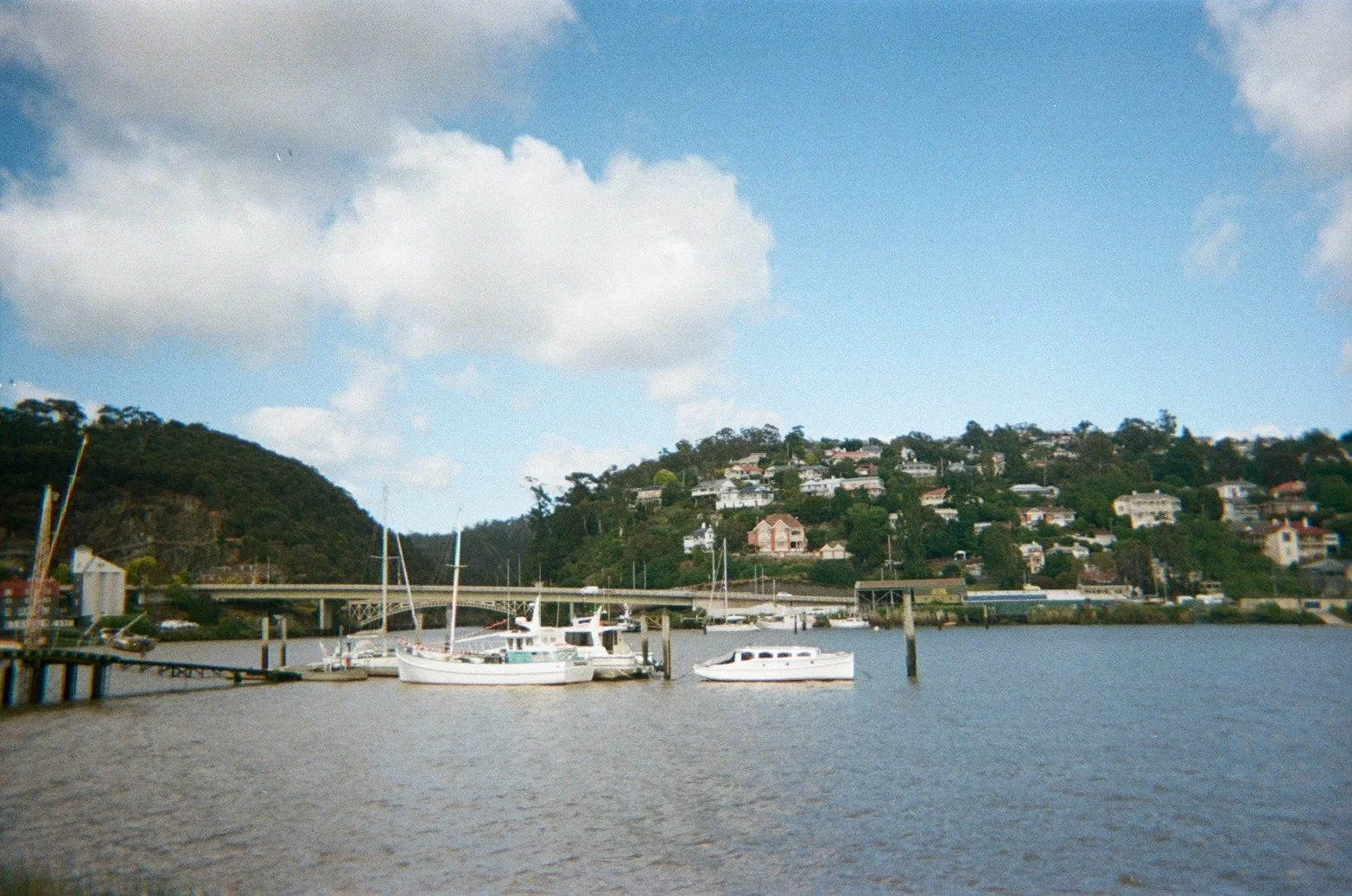 IMG_9571.JPG