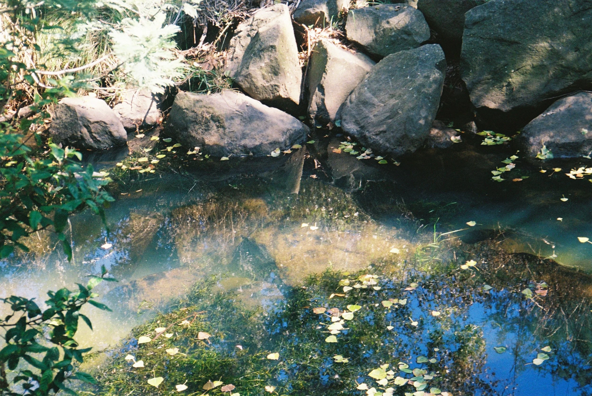 IMG_1148.jpeg