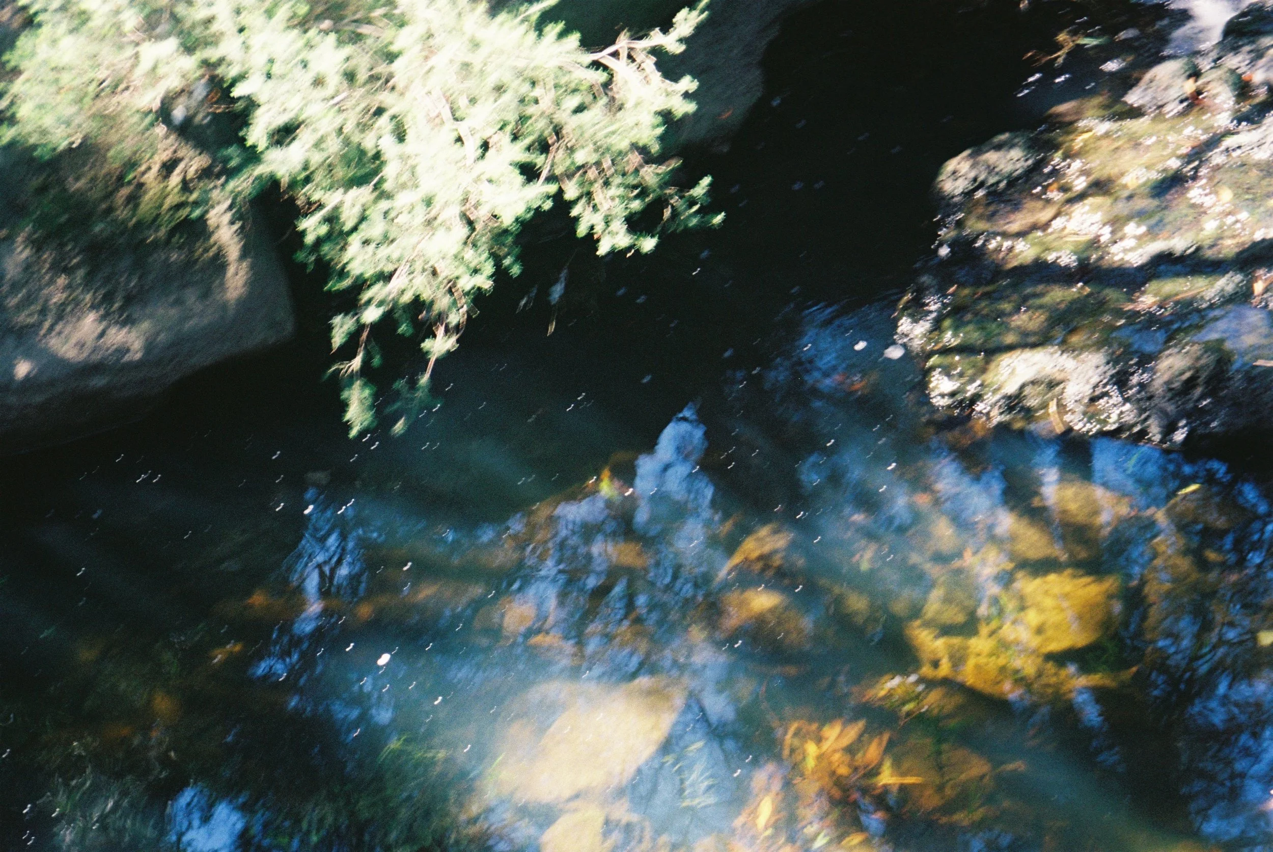 IMG_1155.jpeg
