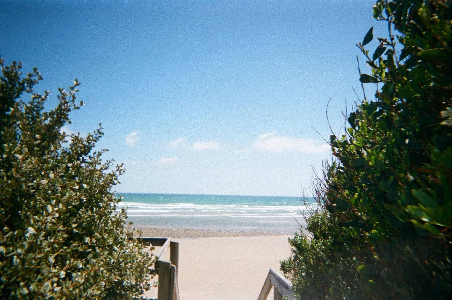 IMG_9581.JPG