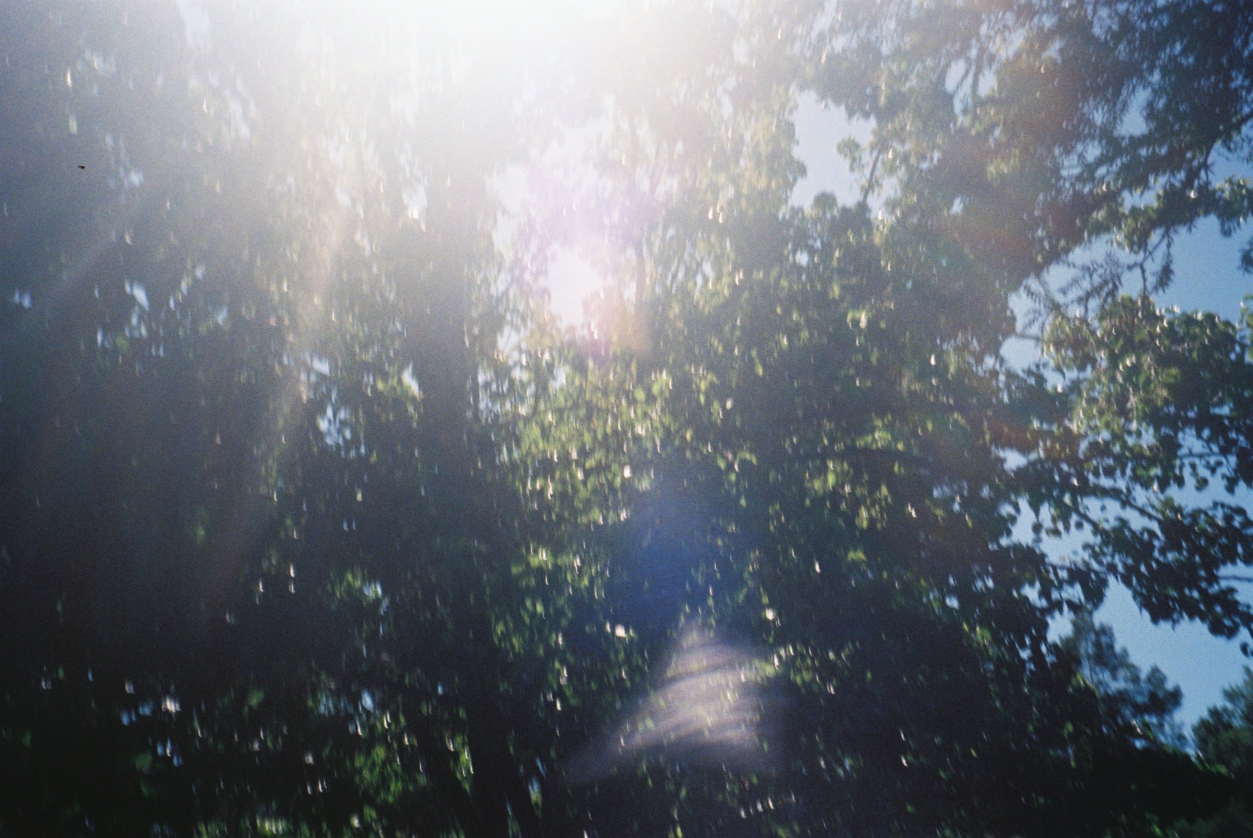 IMG_1154.jpeg