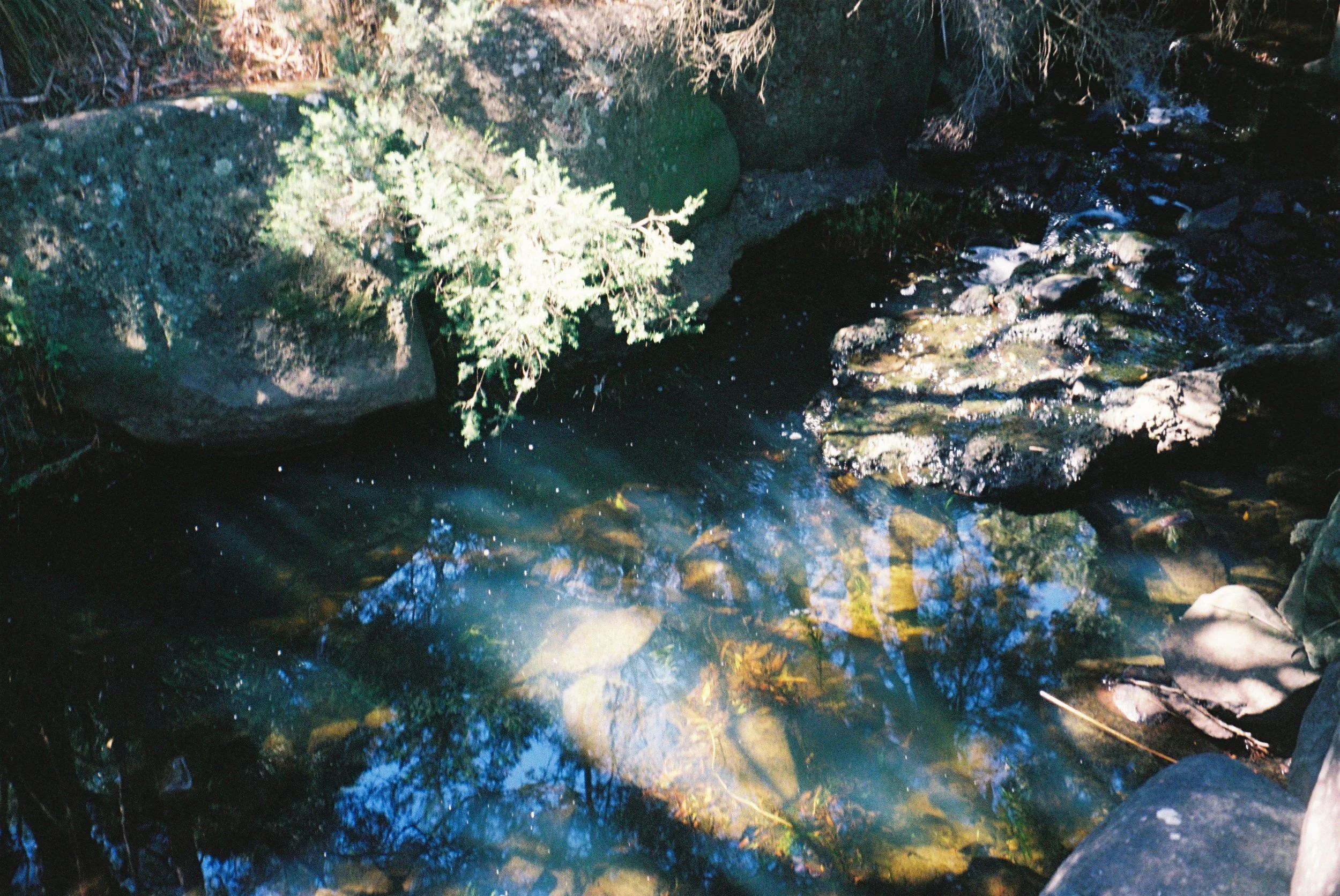 IMG_1157.jpeg